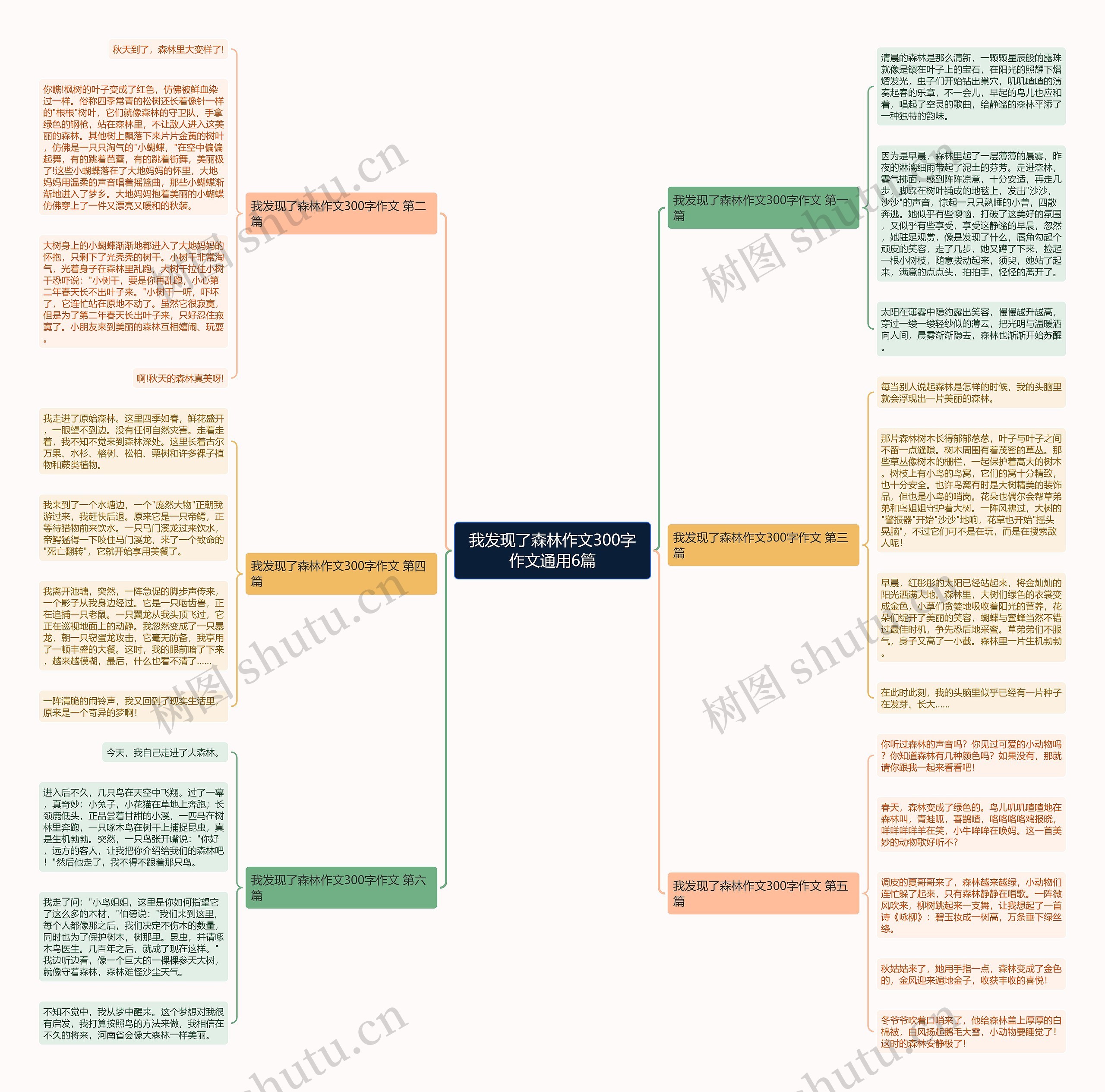我发现了森林作文300字作文通用6篇 我发现了森林作文300字作文通用6篇