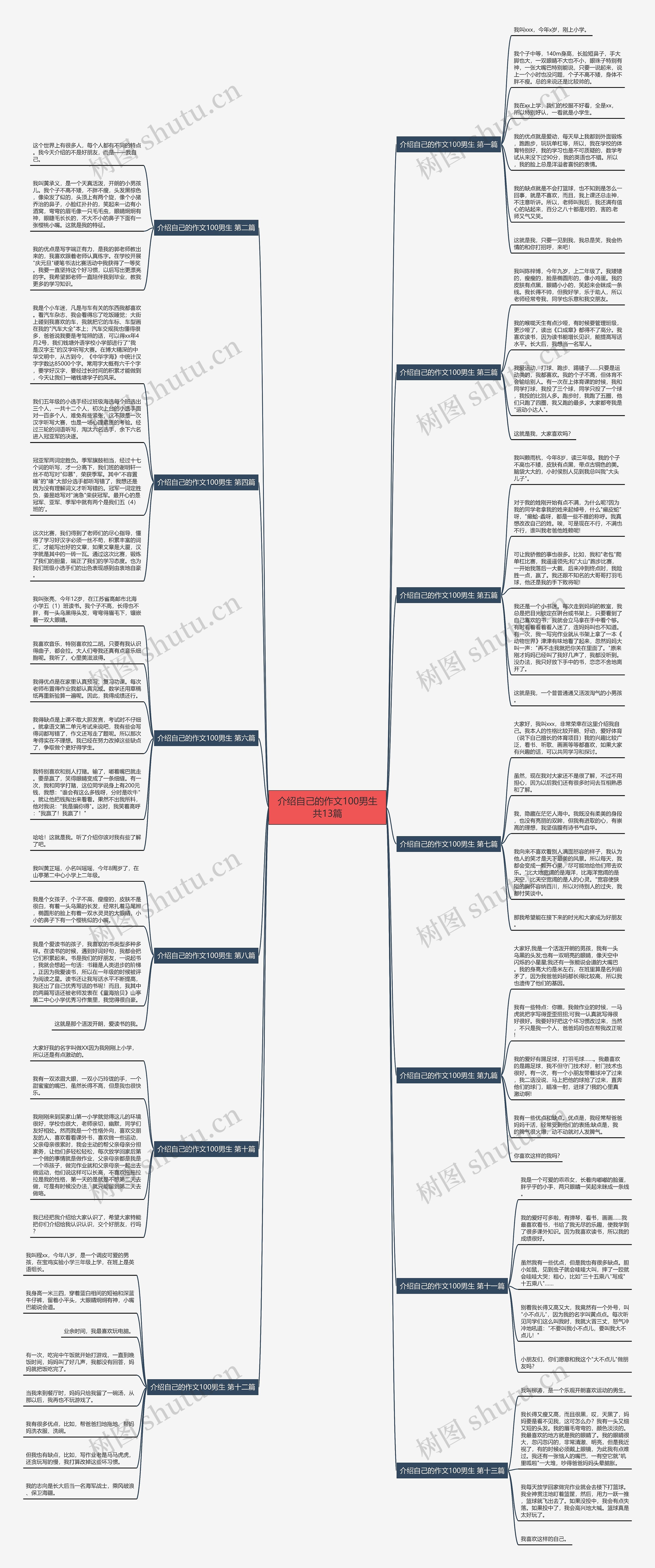 介绍自己的作文100男生共13篇思维导图