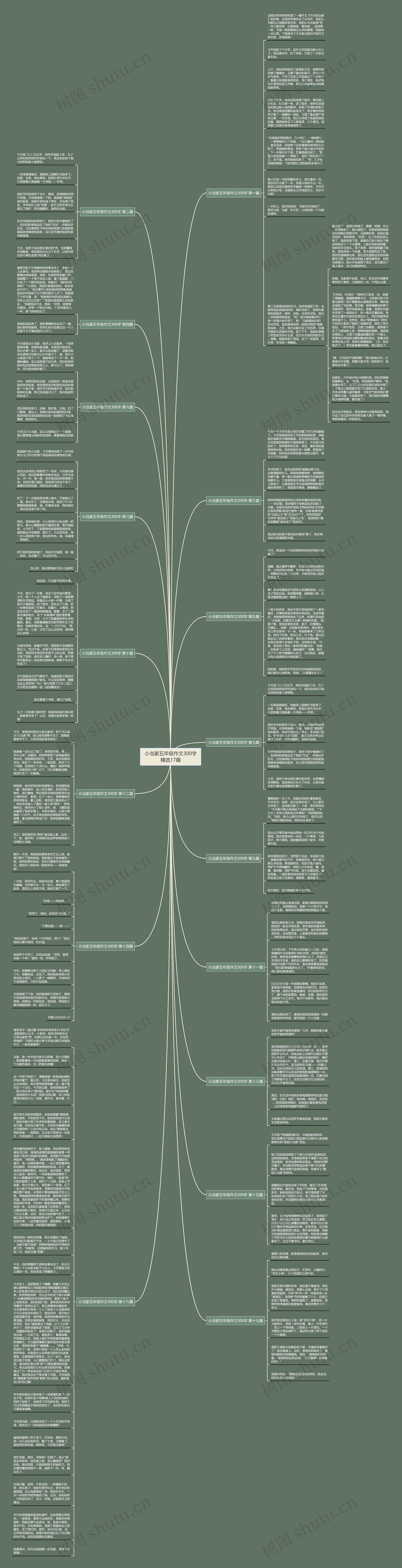 小当家五年级作文300字精选17篇思维导图