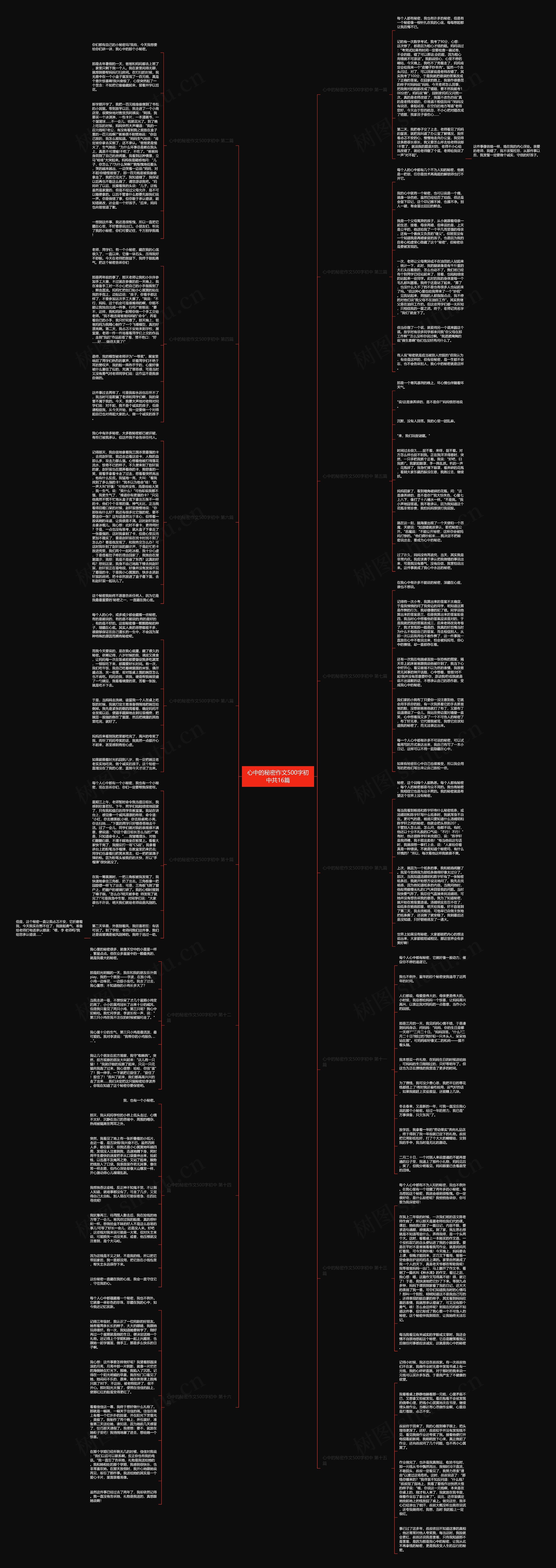 心中的秘密作文500字初中共16篇