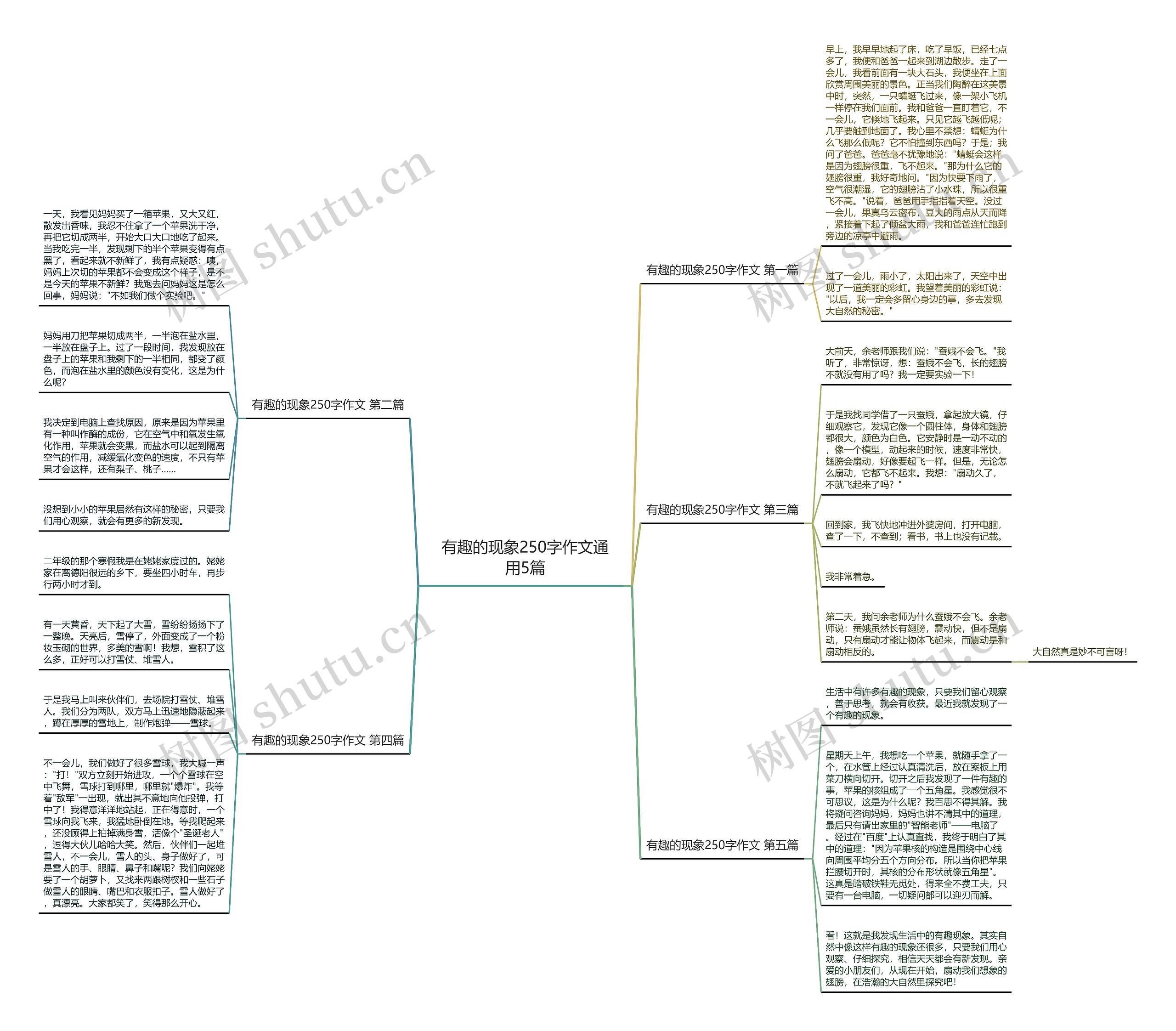 有趣的现象250字作文通用5篇思维导图