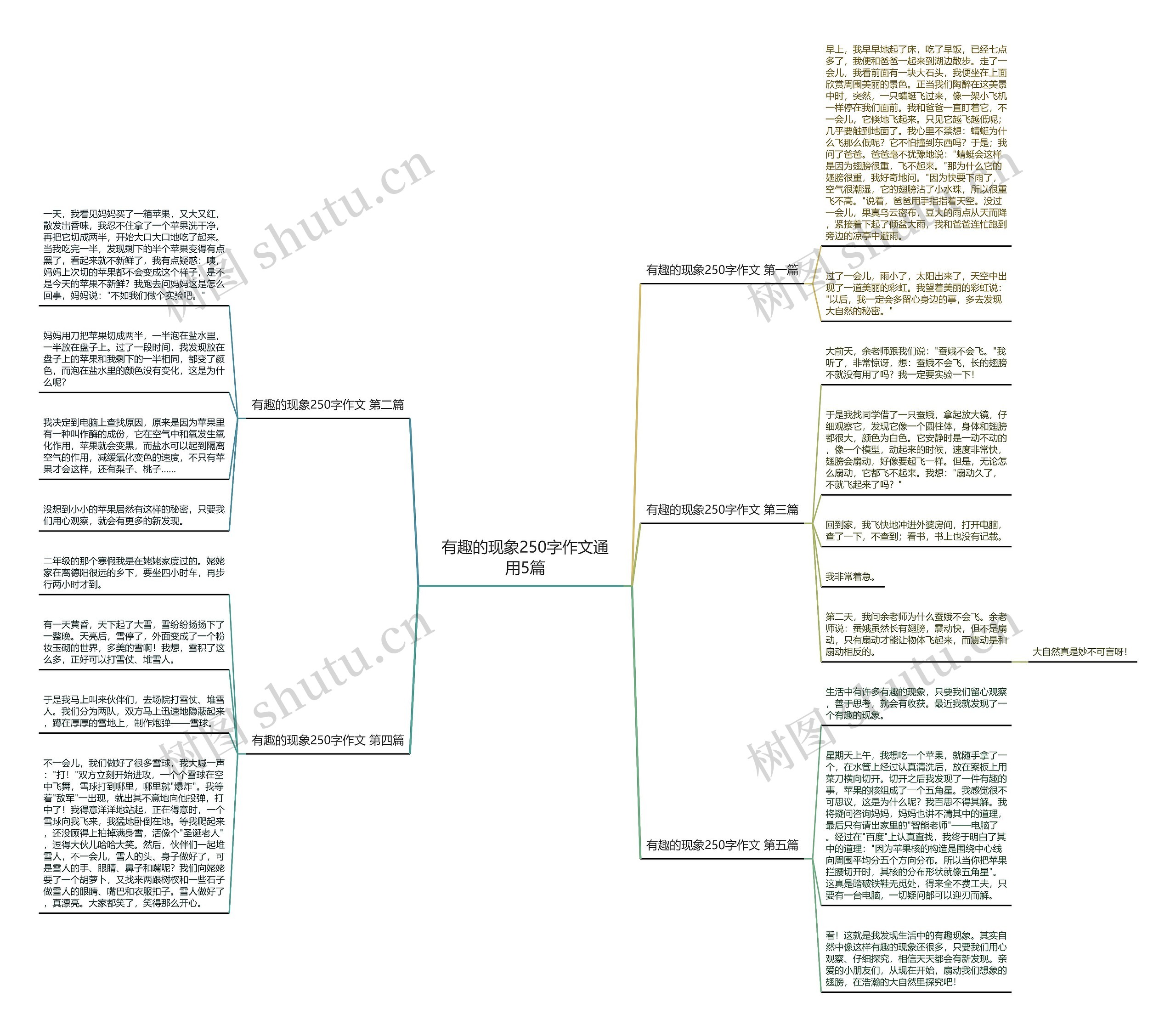 有趣的现象250字作文通用5篇 有趣的现象250字作文通用5篇