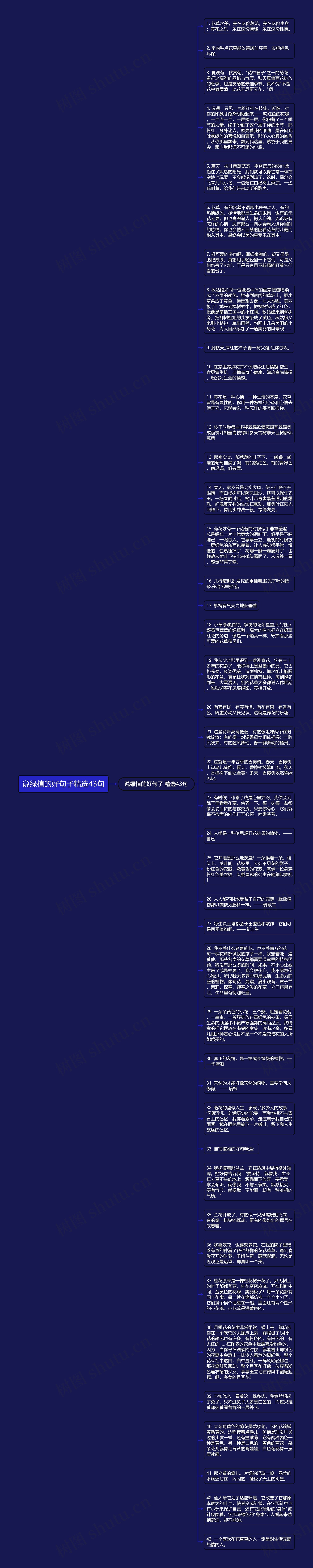 说绿植的好句子精选43句