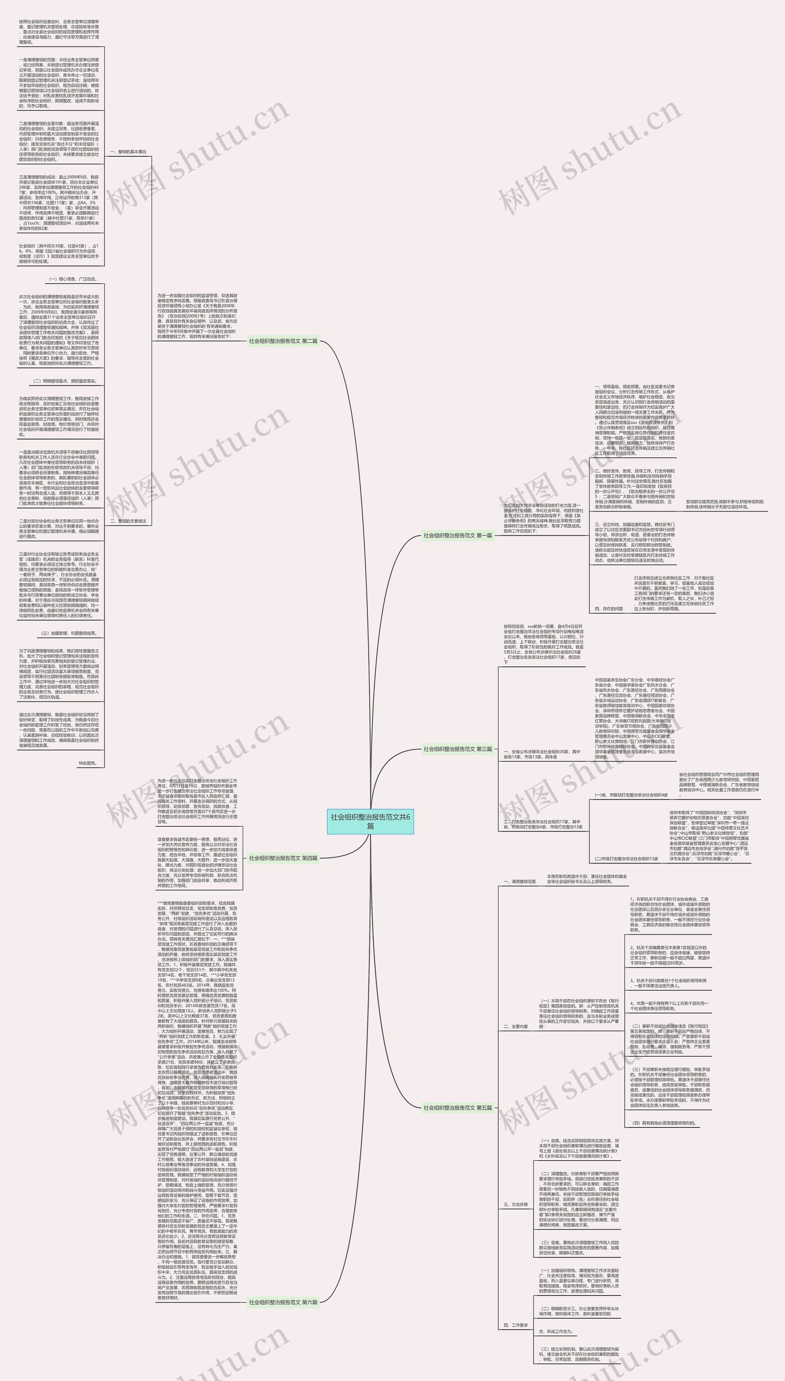 社会组织整治报告范文共6篇