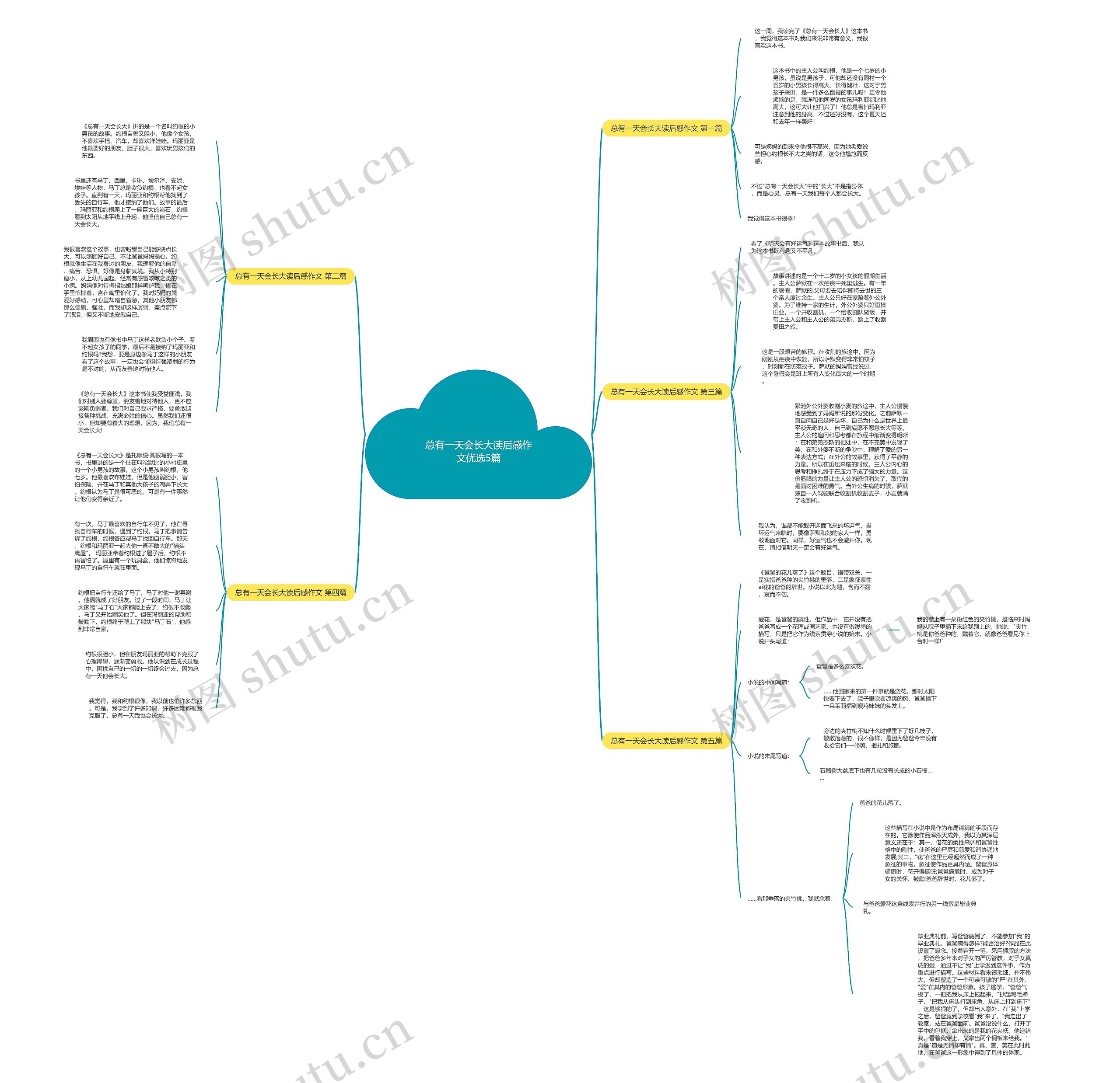 总有一天会长大读后感作文优选5篇思维导图