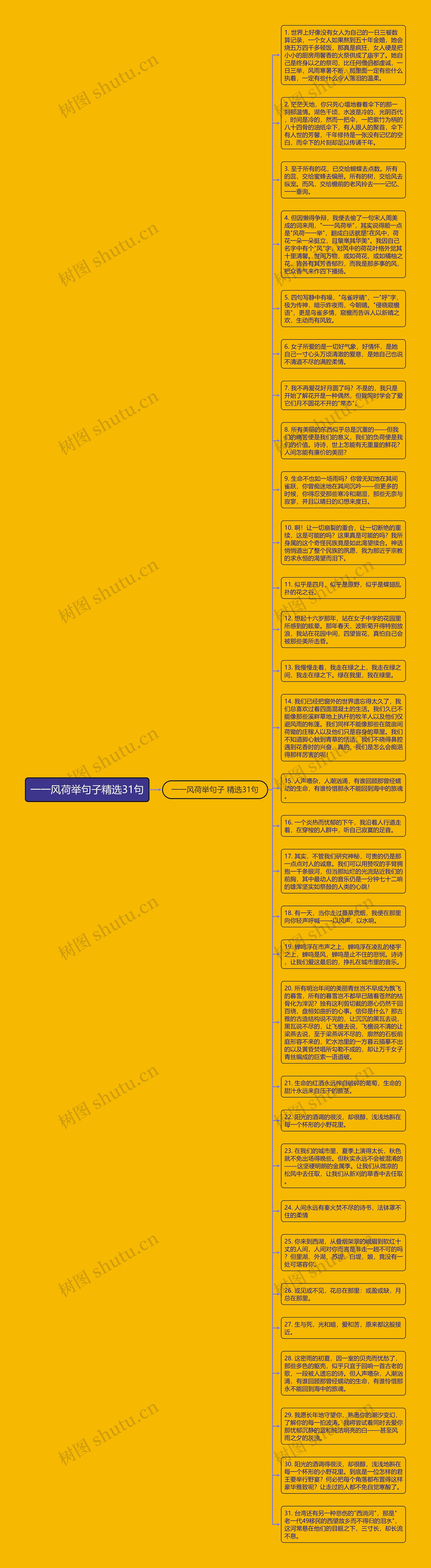 一一风荷举句子精选31句
