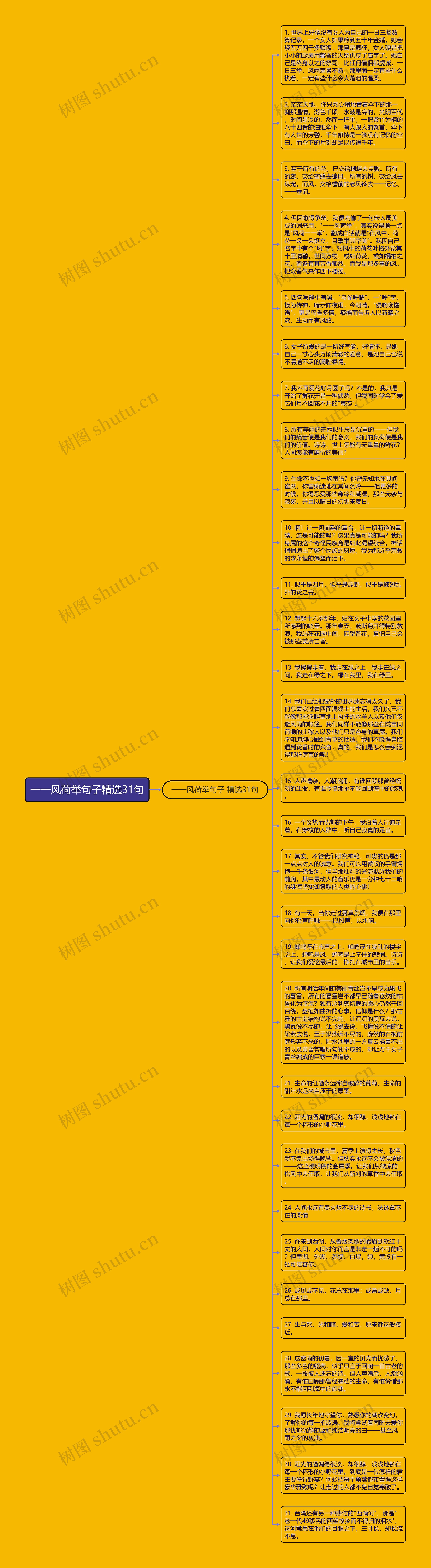 一一风荷举句子精选31句思维导图