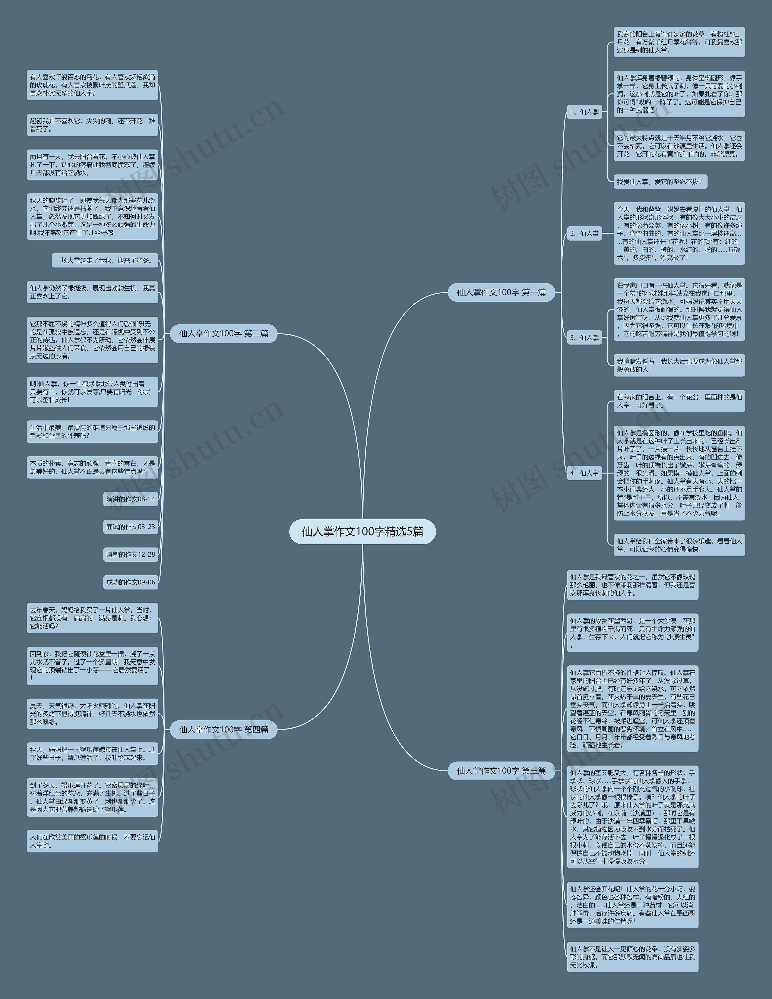 仙人掌作文100字精选5篇思维导图
