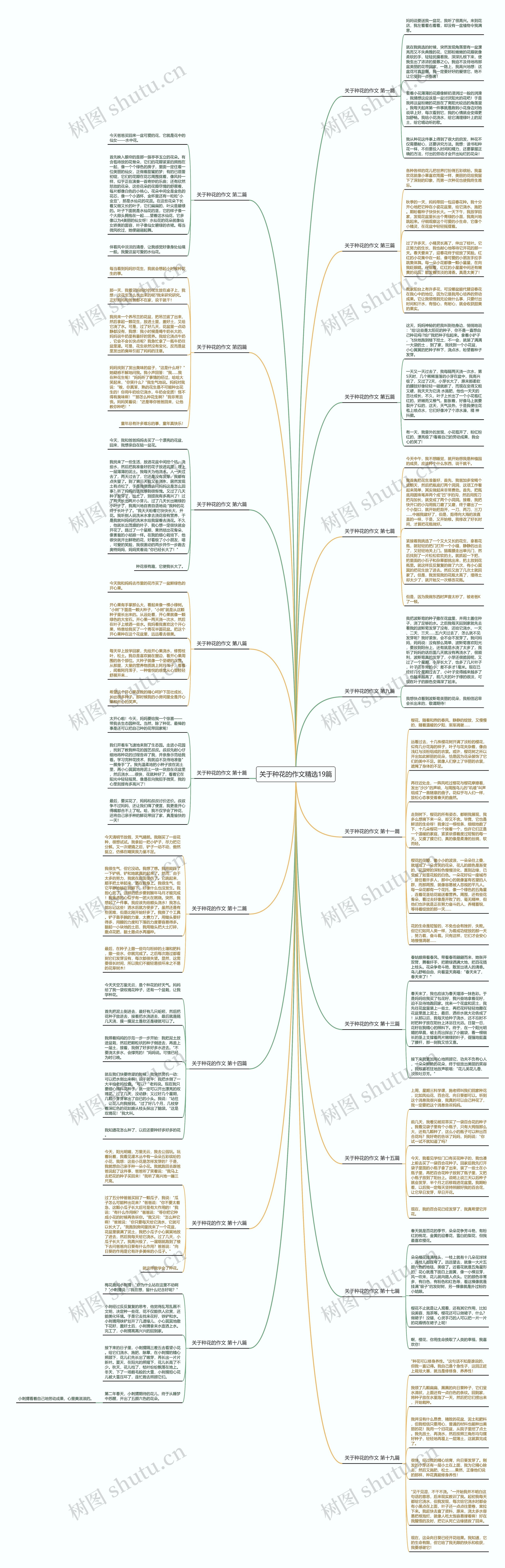 关于种花的作文精选19篇思维导图