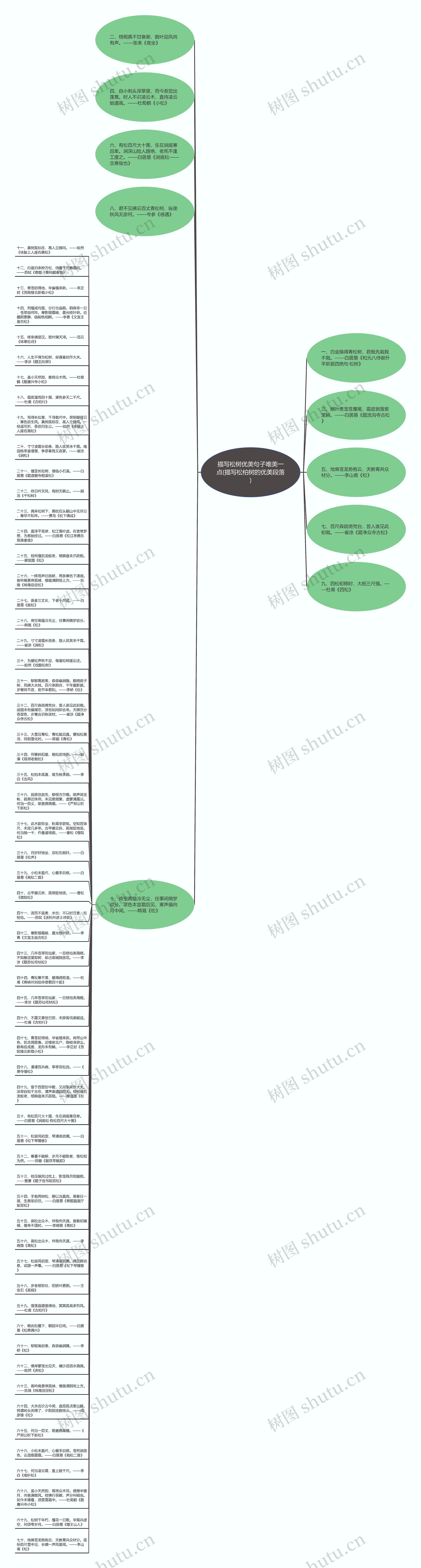 描写松树优美句子唯美一点(描写松柏树的优美段落)思维导图