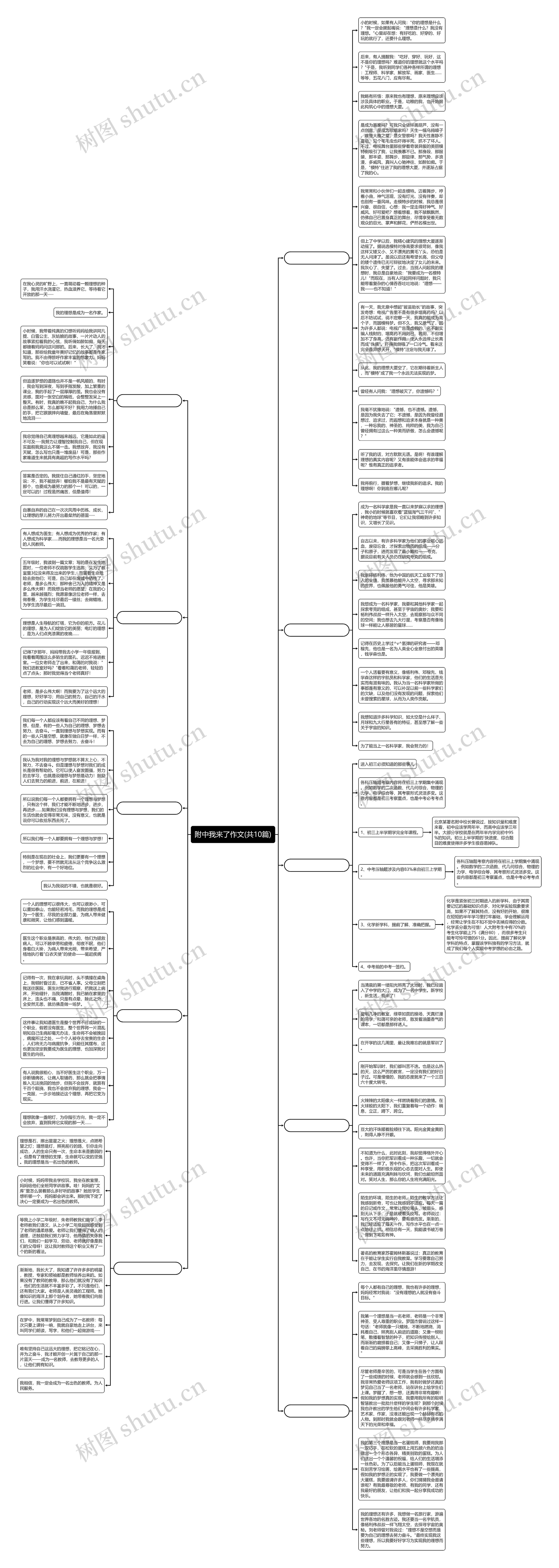 附中我来了作文(共10篇)思维导图