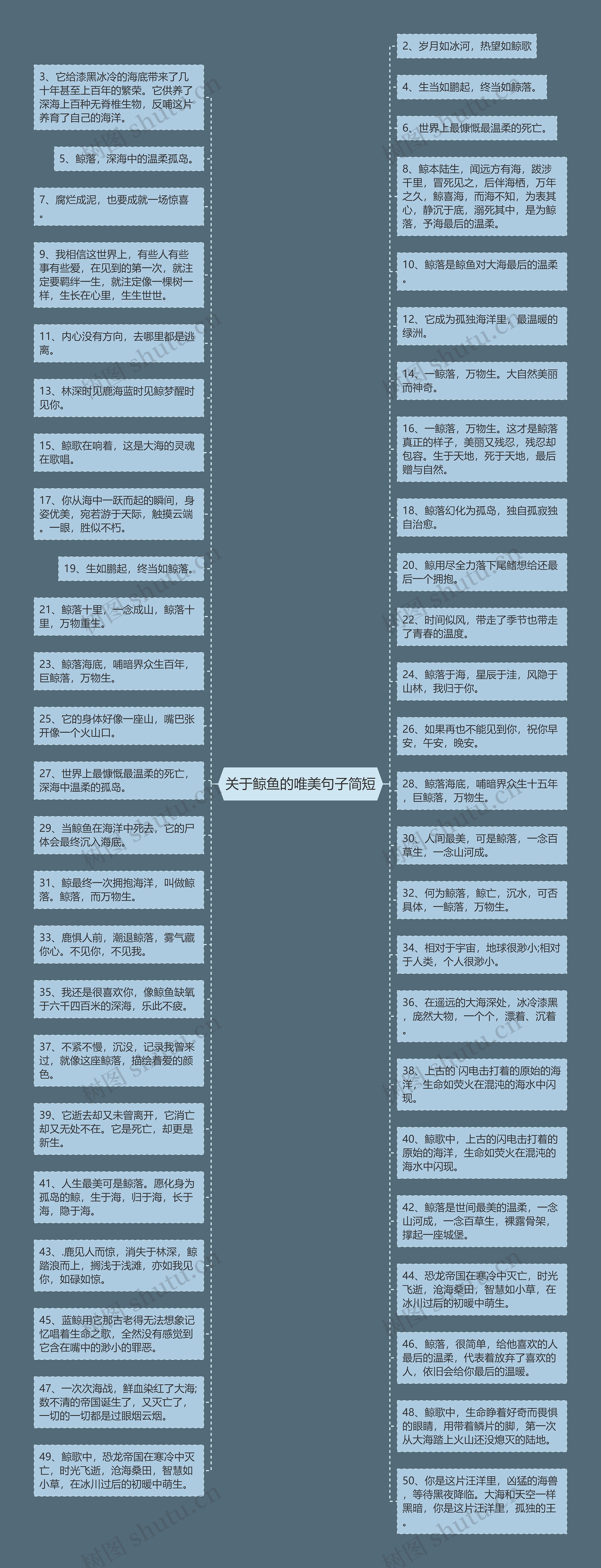 关于鲸鱼的唯美句子简短思维导图