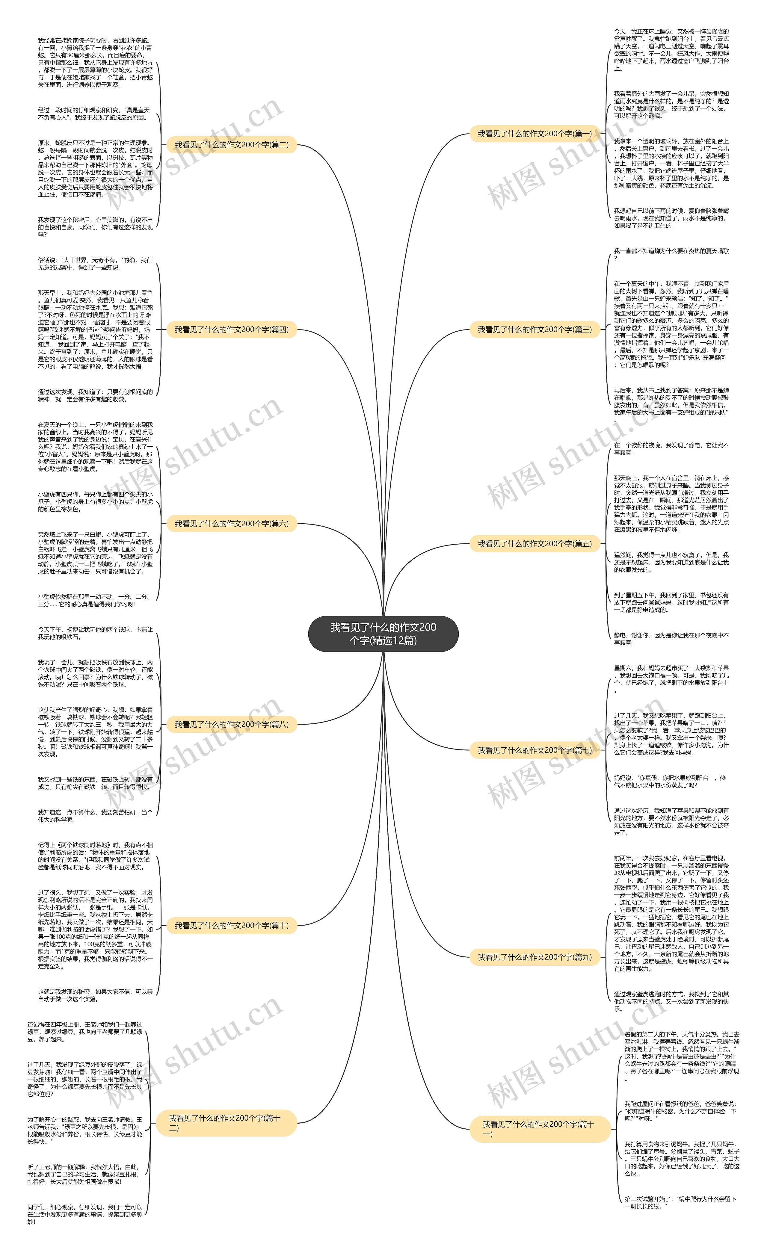 我看见了什么的作文200个字(精选12篇)思维导图