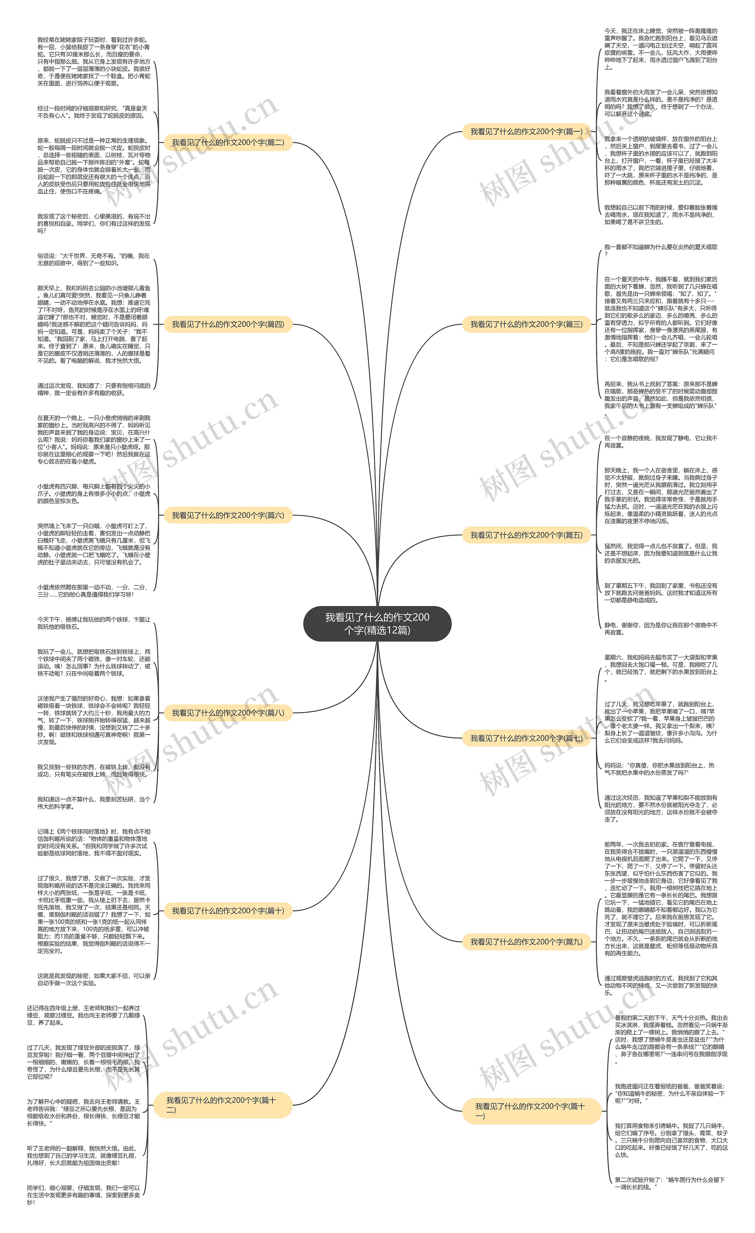我看见了什么的作文200个字(精选12篇) 我看见了什么的作文200个字(精选12篇)