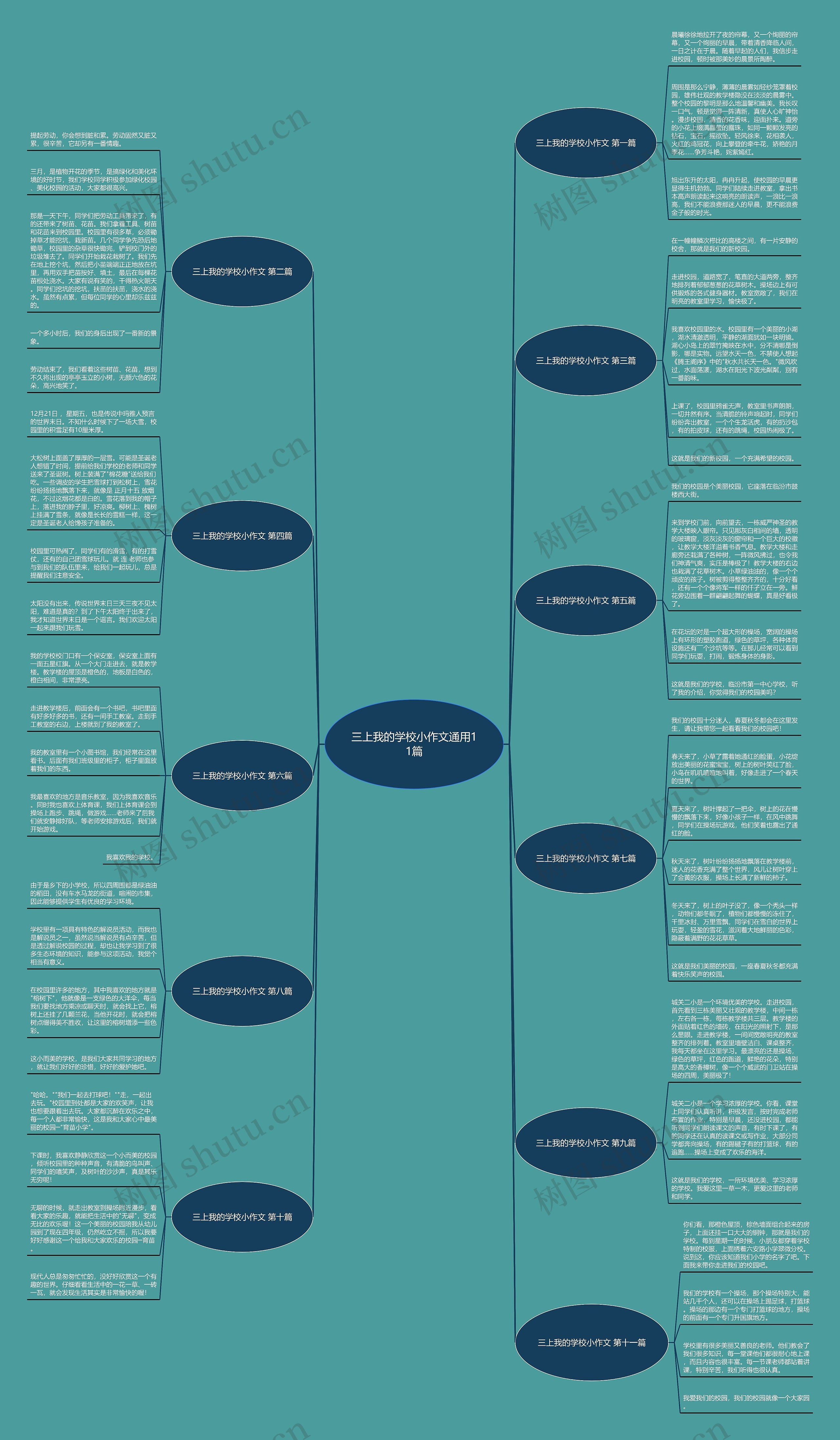 三上我的学校小作文通用11篇 三上我的学校小作文通用11篇