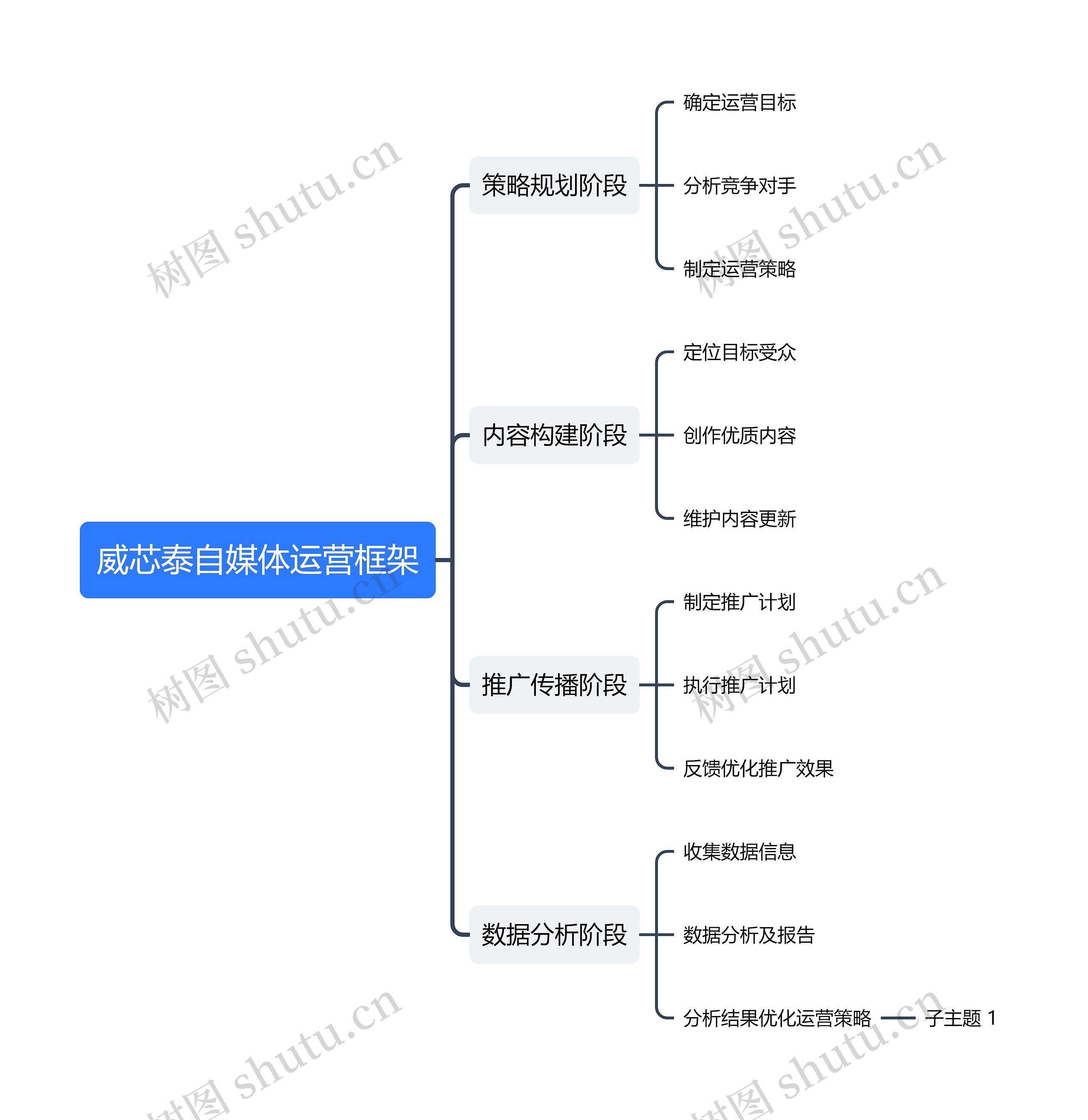 威芯泰自媒体运营框架