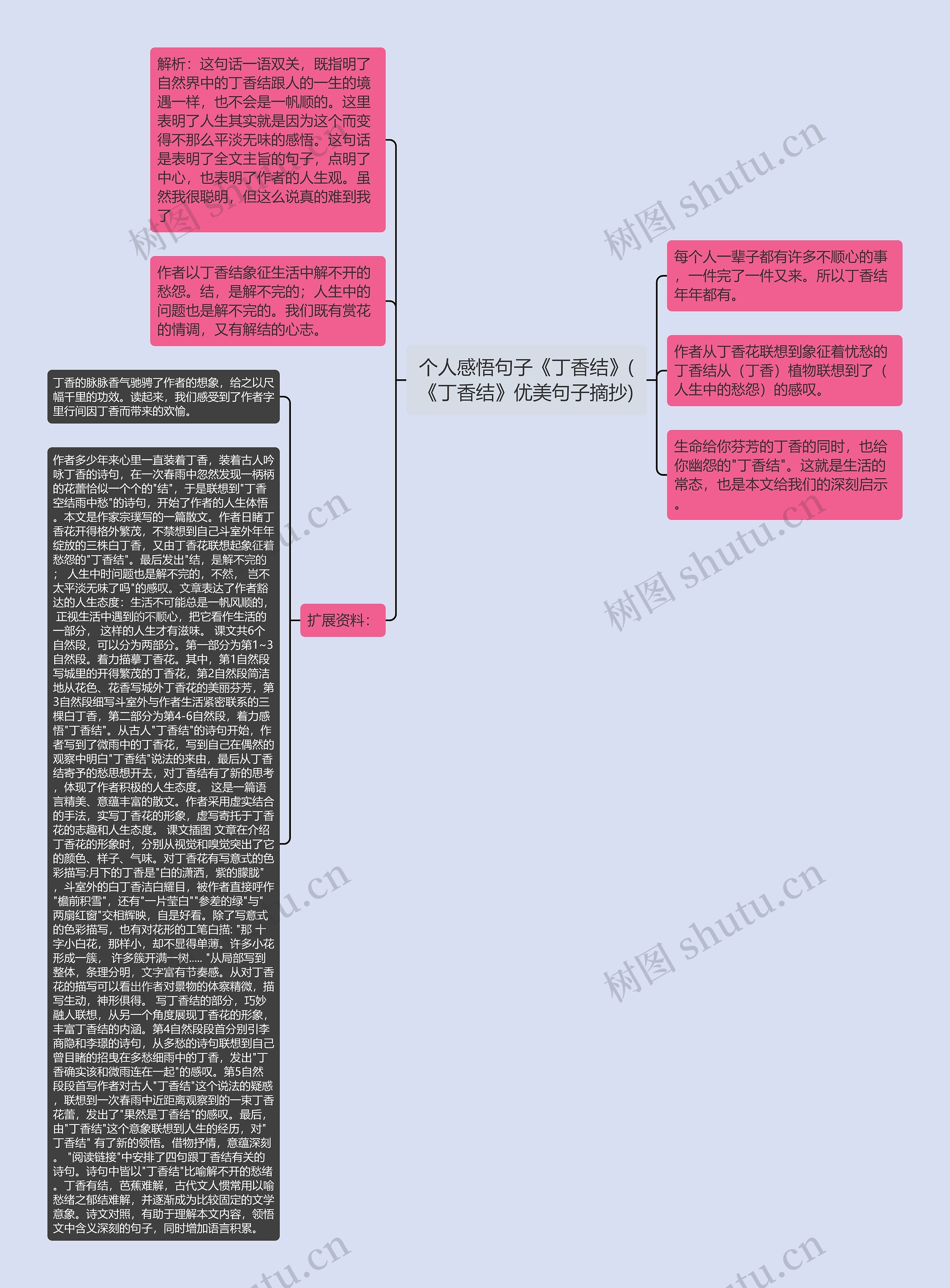 个人感悟句子《丁香结》(《丁香结》优美句子摘抄)