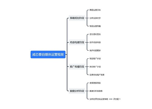 威芯泰自媒体运营框架