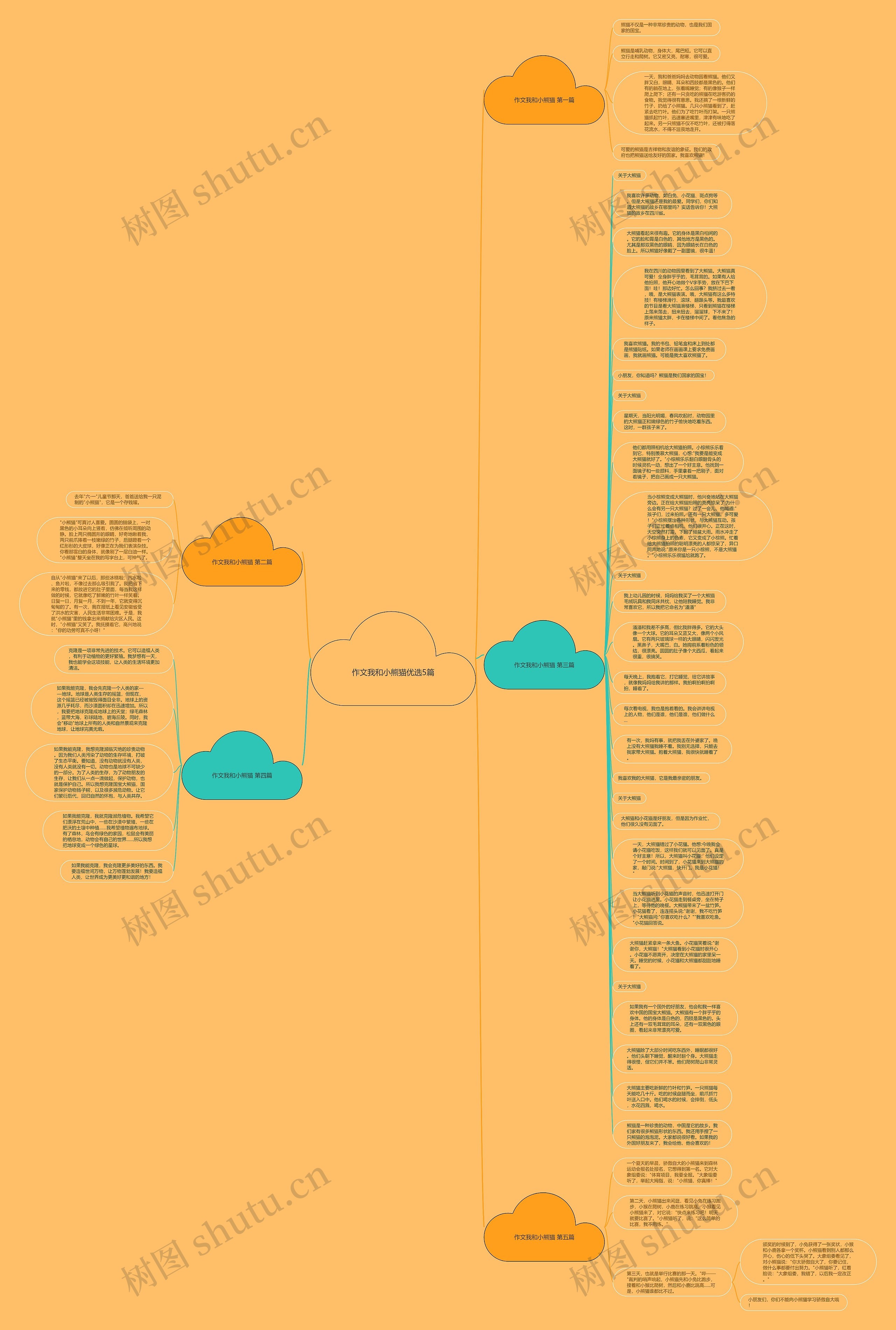 作文我和小熊猫优选5篇思维导图