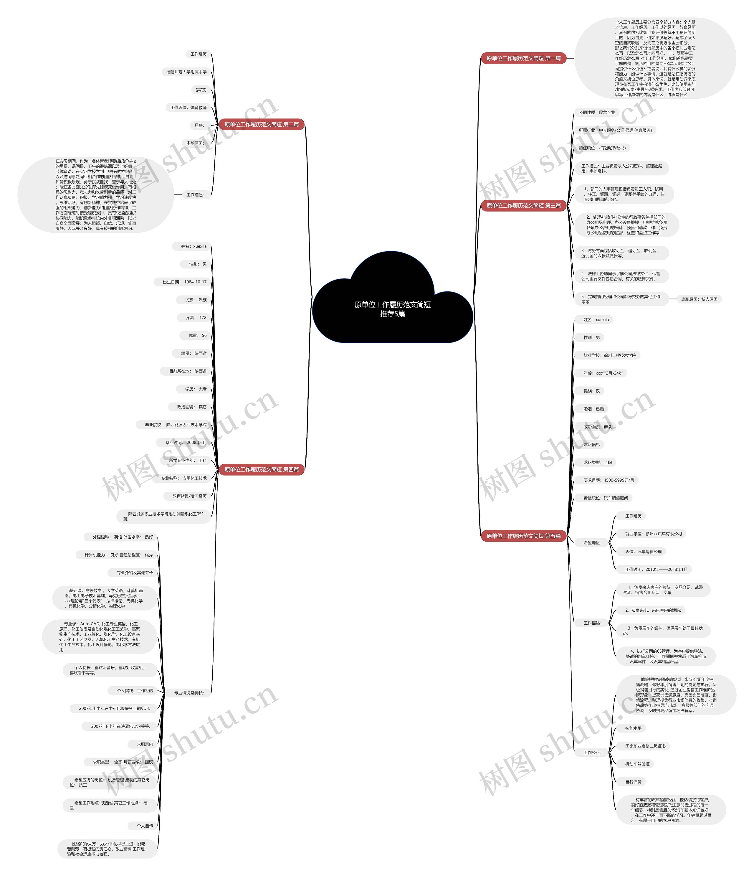 原单位工作履历范文简短推荐5篇思维导图