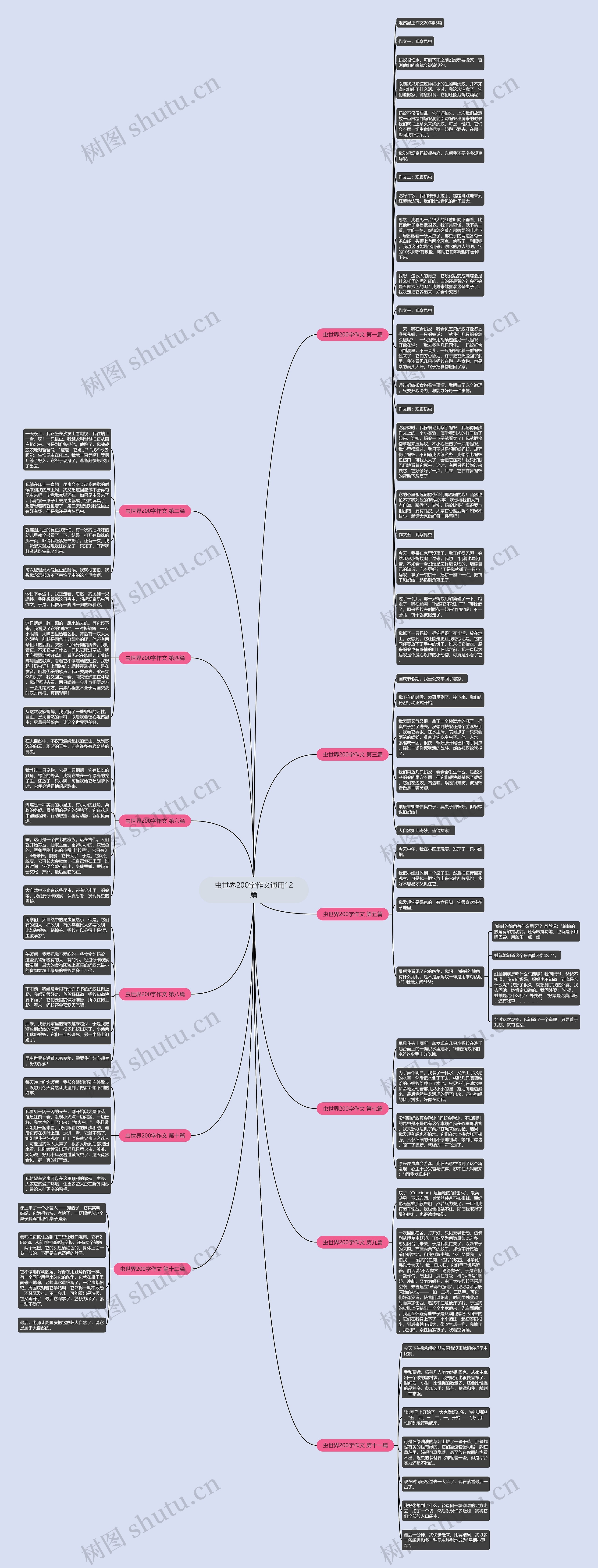 虫世界200字作文通用12篇思维导图