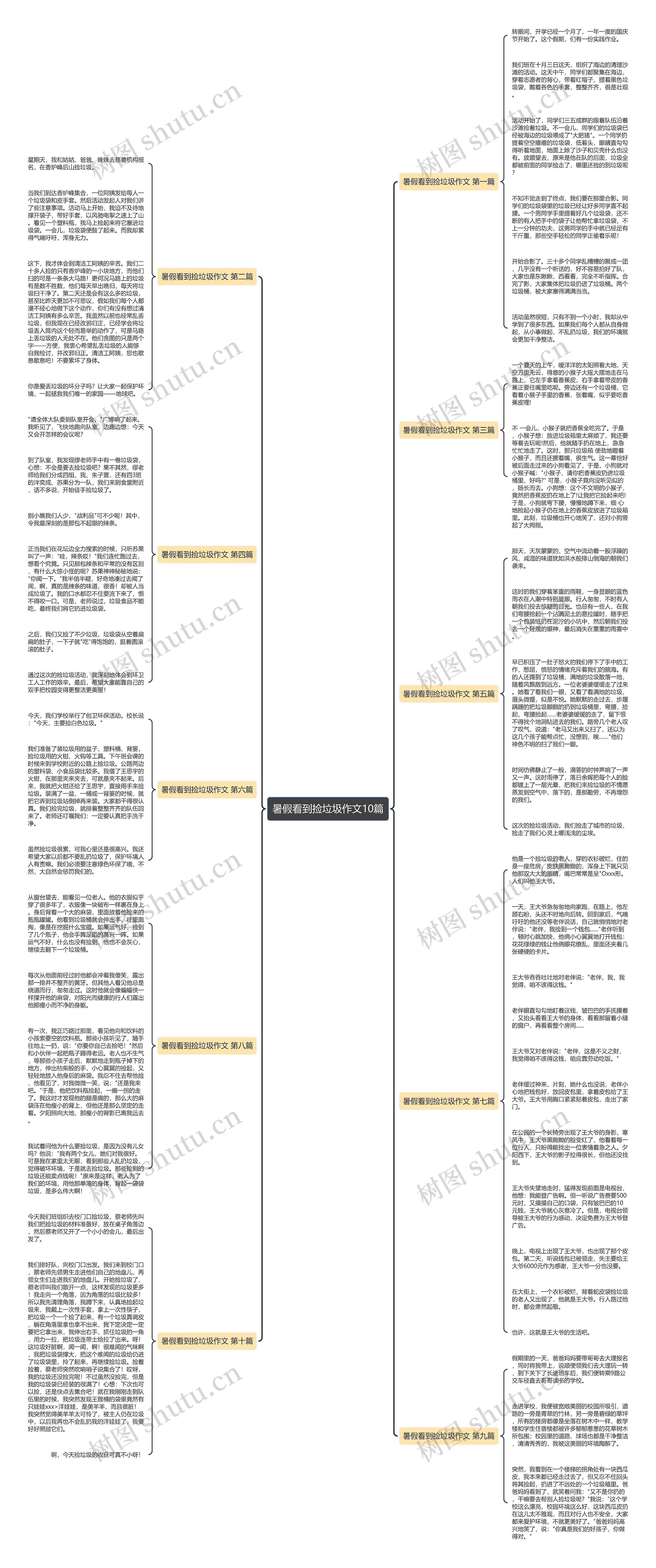 暑假看到捡垃圾作文10篇思维导图