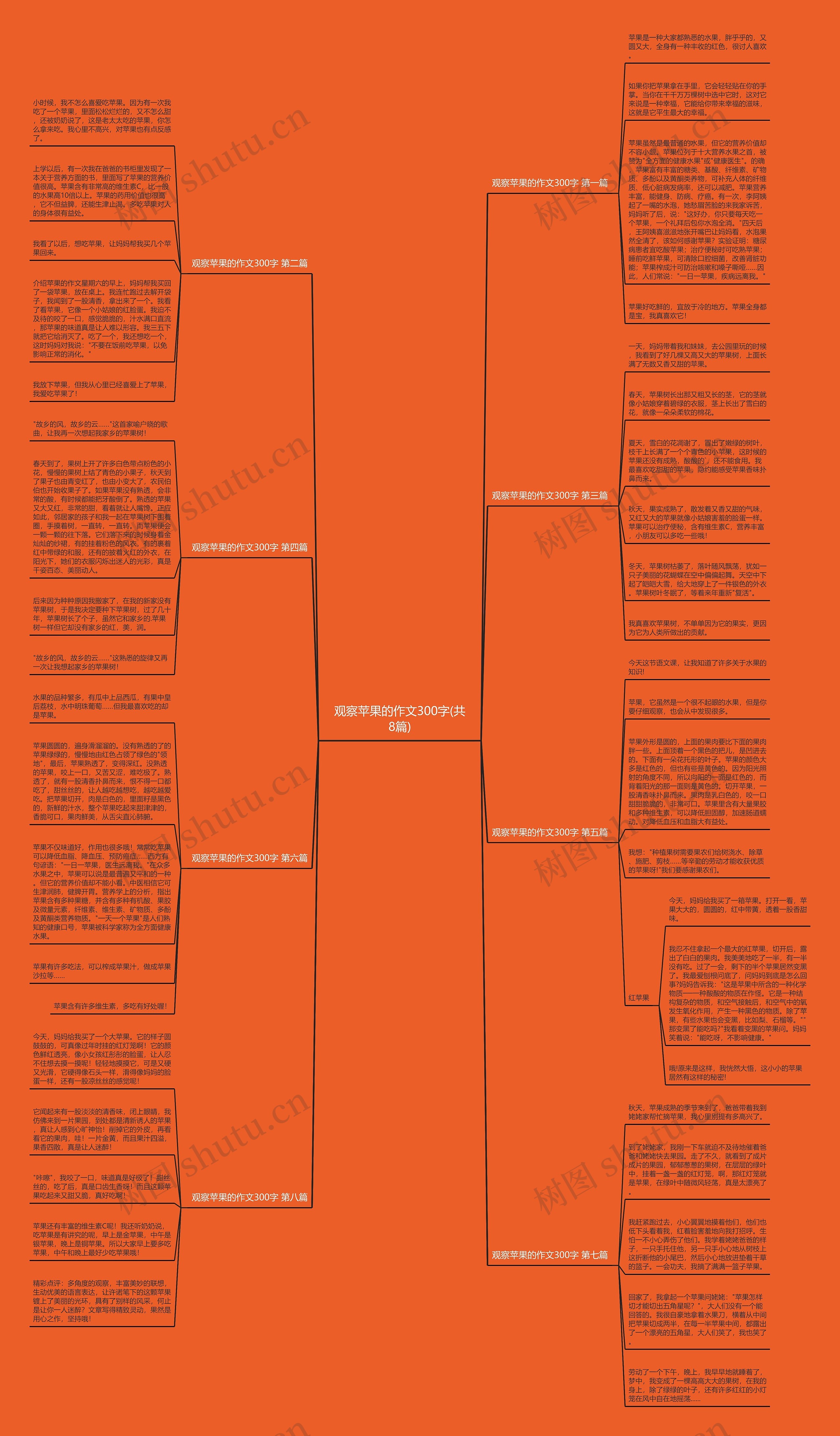 观察苹果的作文300字(共8篇)思维导图