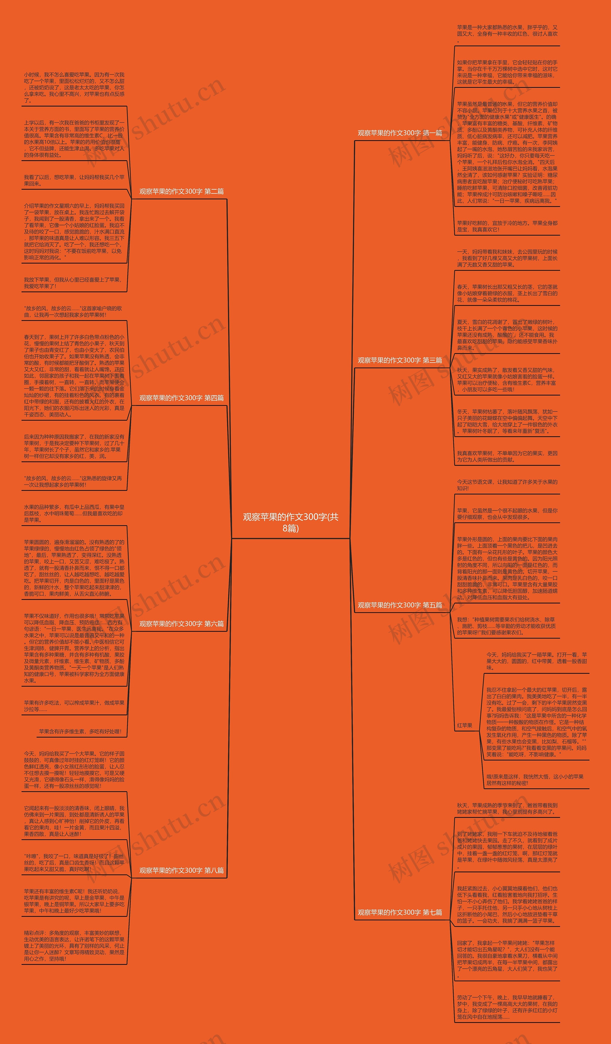 观察苹果的作文300字(共8篇) 观察苹果的作文300字(共8篇)