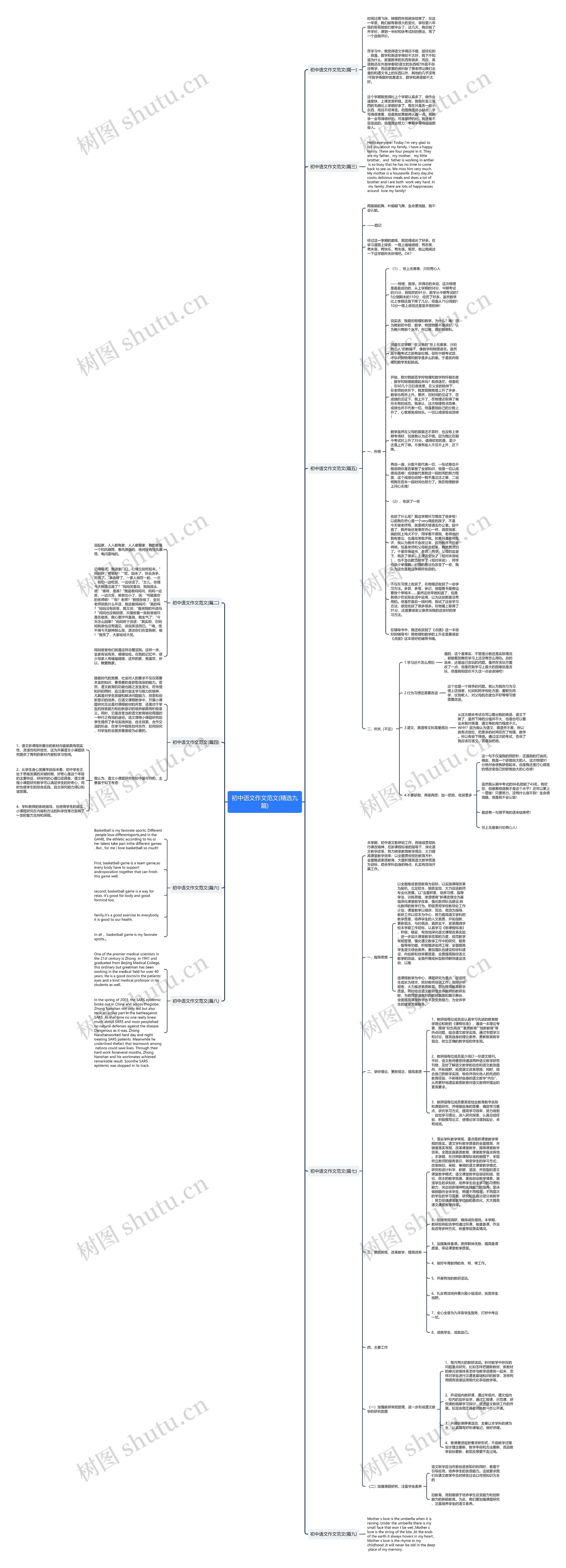 初中语文作文范文(精选九篇)思维导图