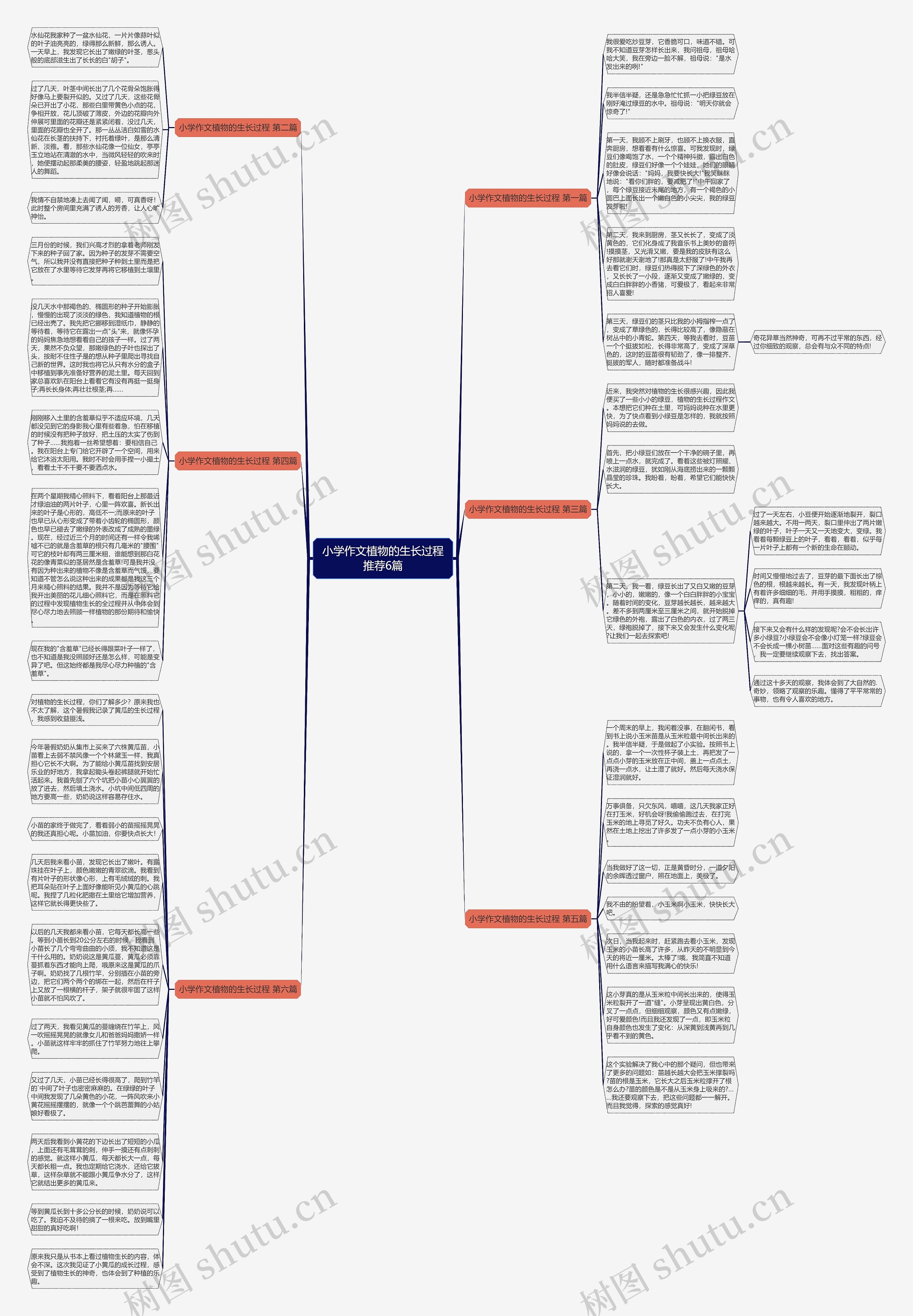 小学作文植物的生长过程推荐6篇思维导图