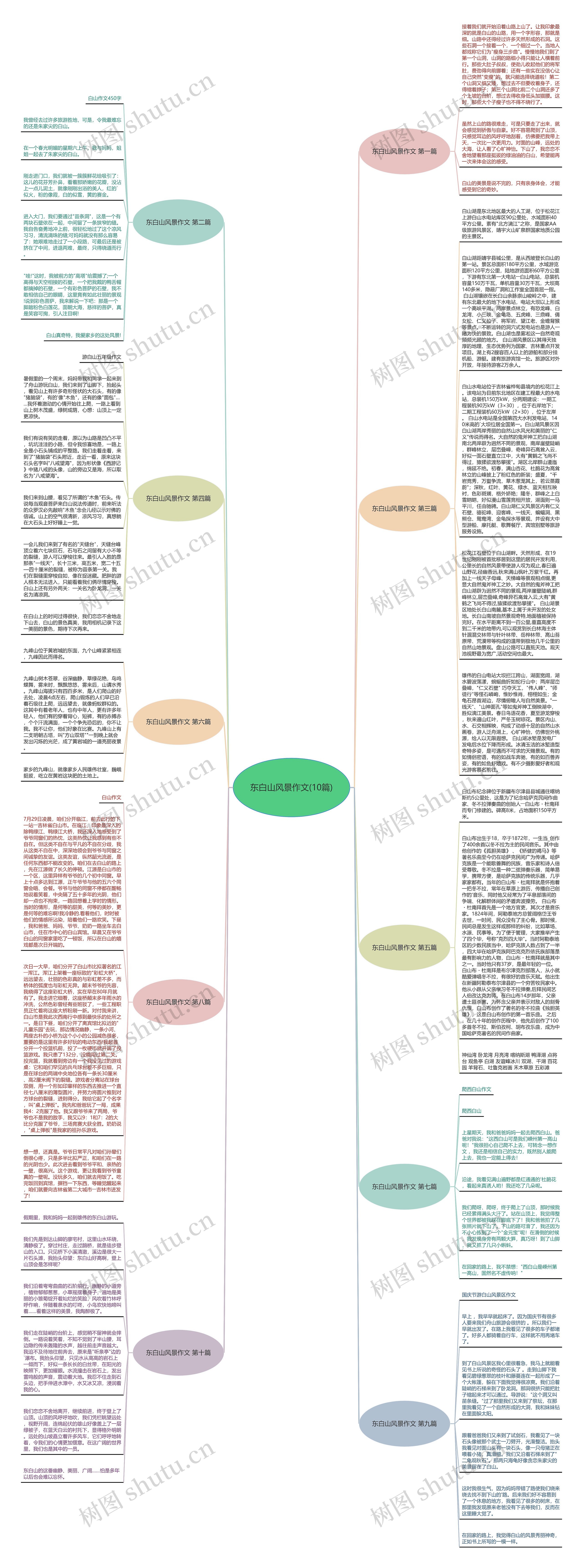 东白山风景作文(10篇)思维导图