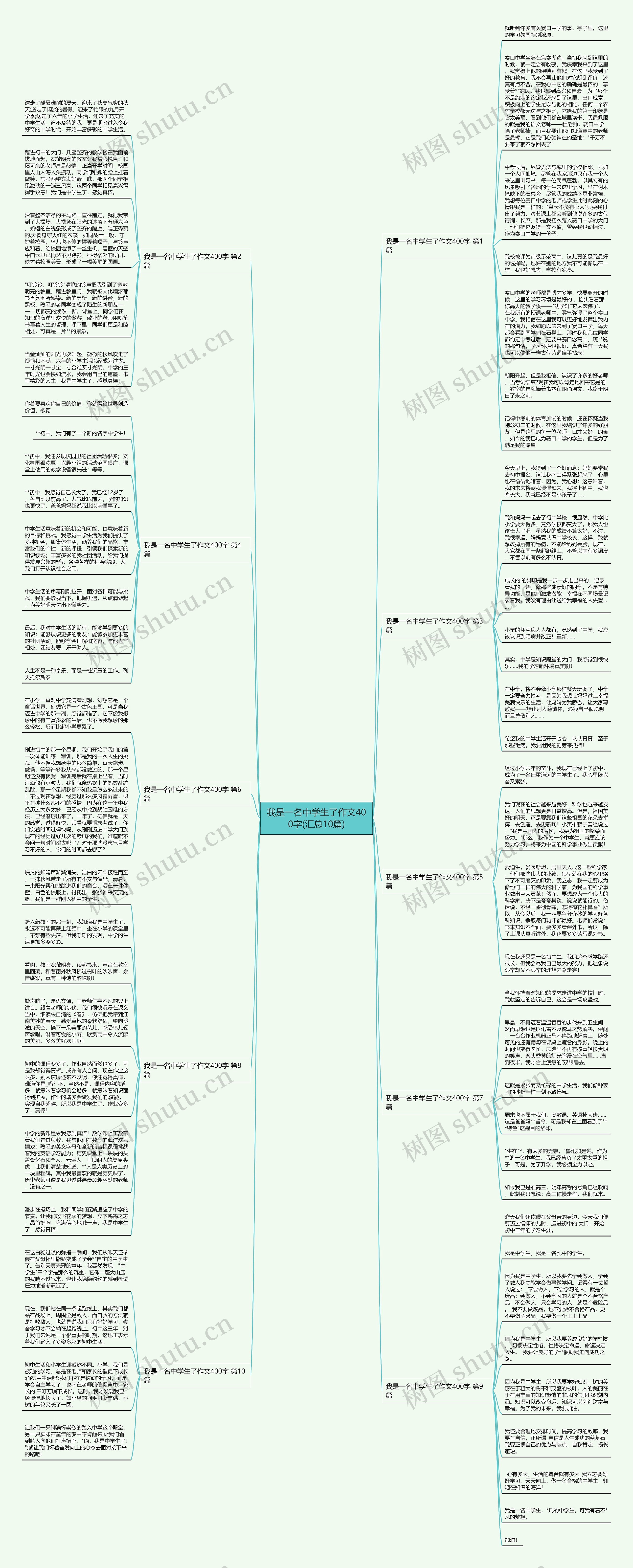 我是一名中学生了作文400字(汇总10篇)思维导图
