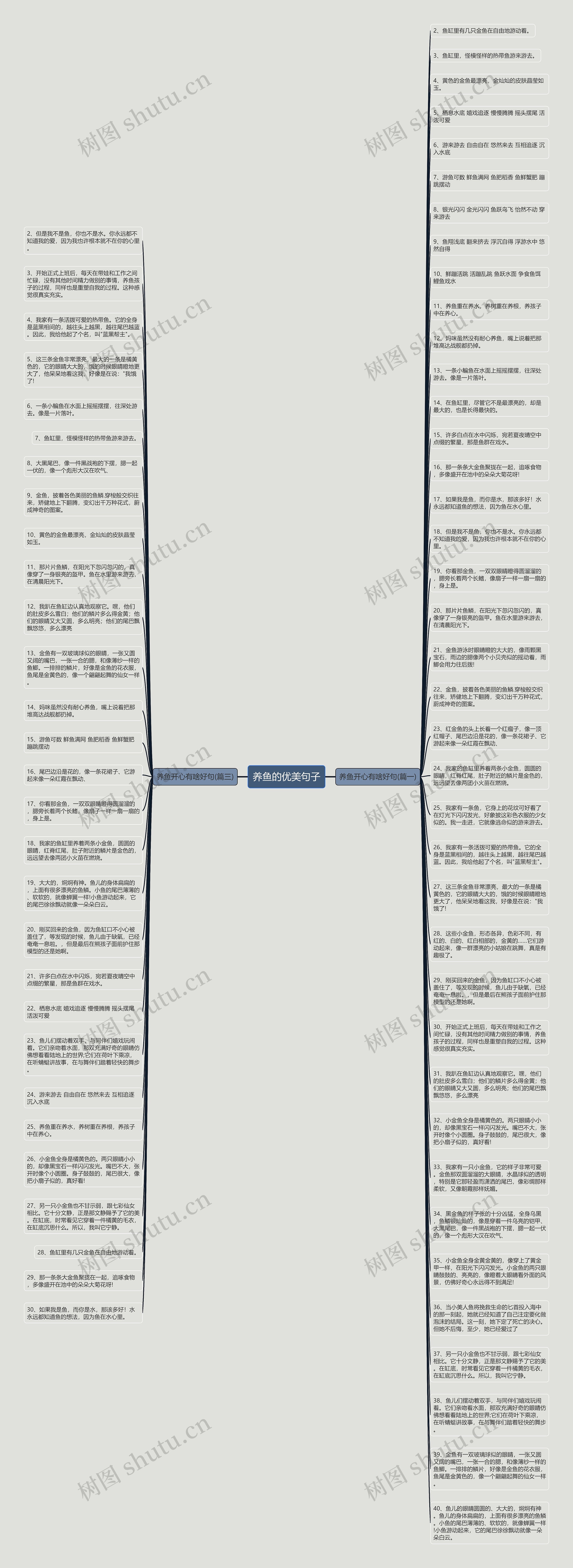 养鱼的优美句子思维导图