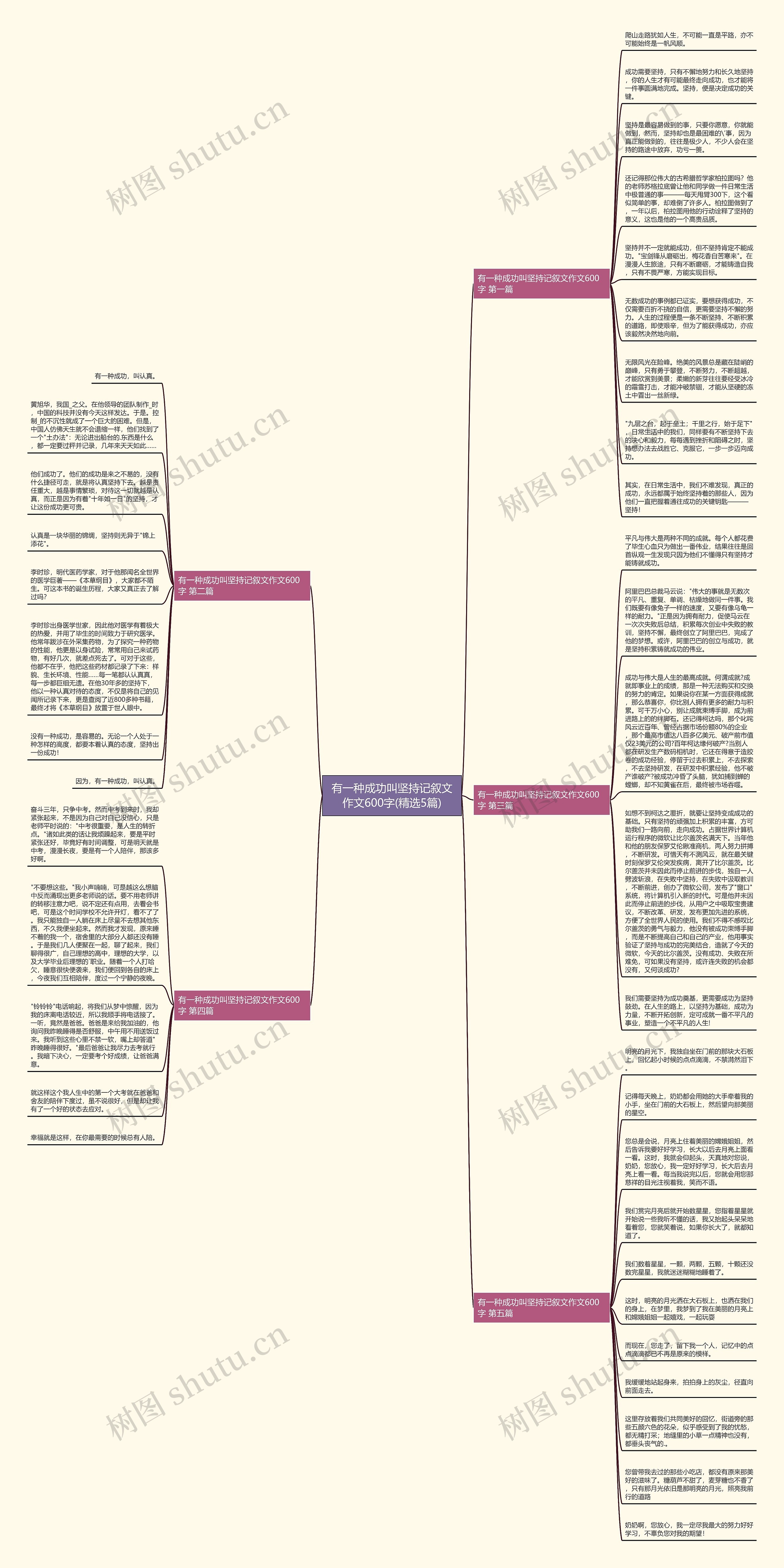 有一种成功叫坚持记叙文作文600字(精选5篇)思维导图