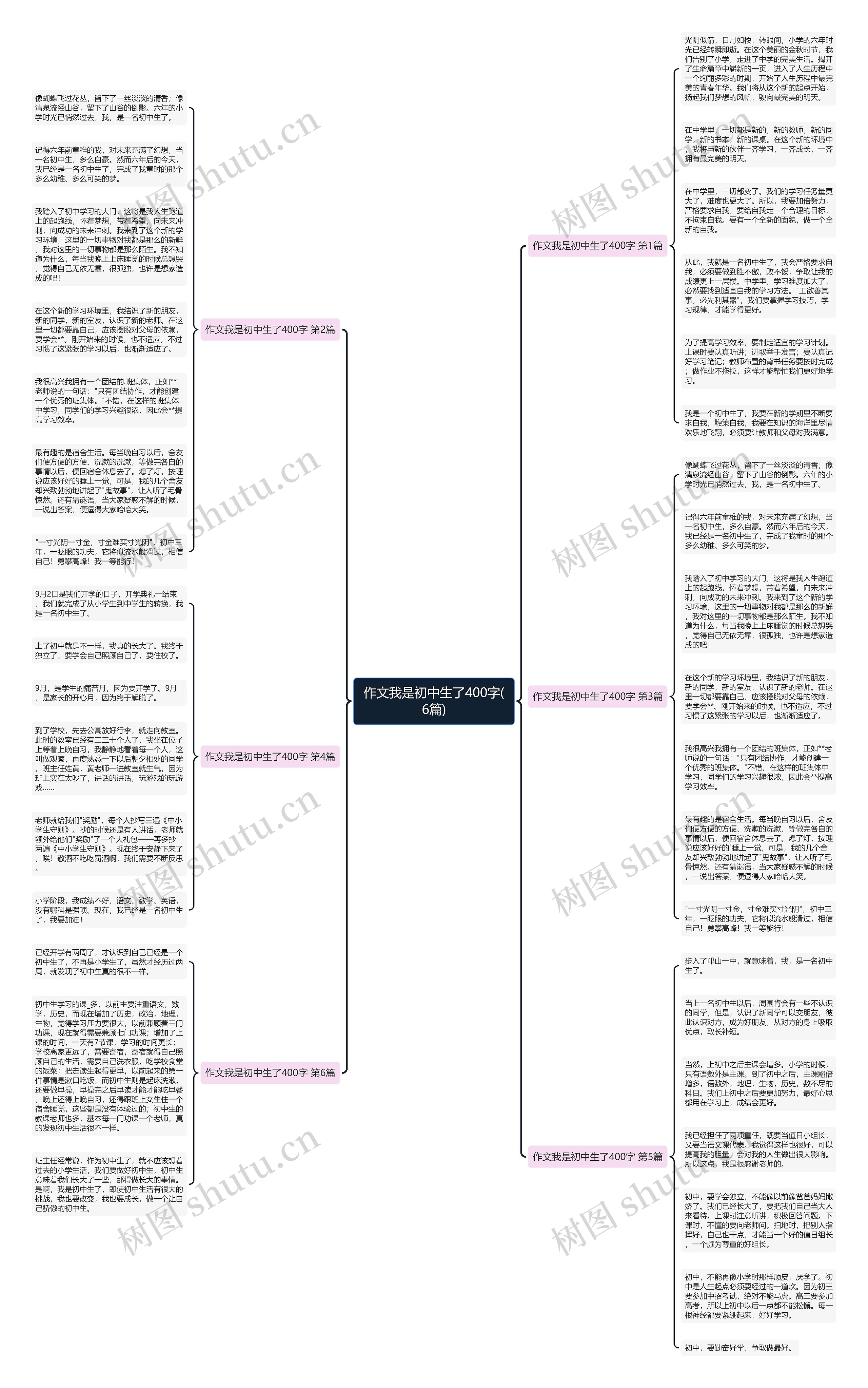 作文我是初中生了400字(6篇)思维导图