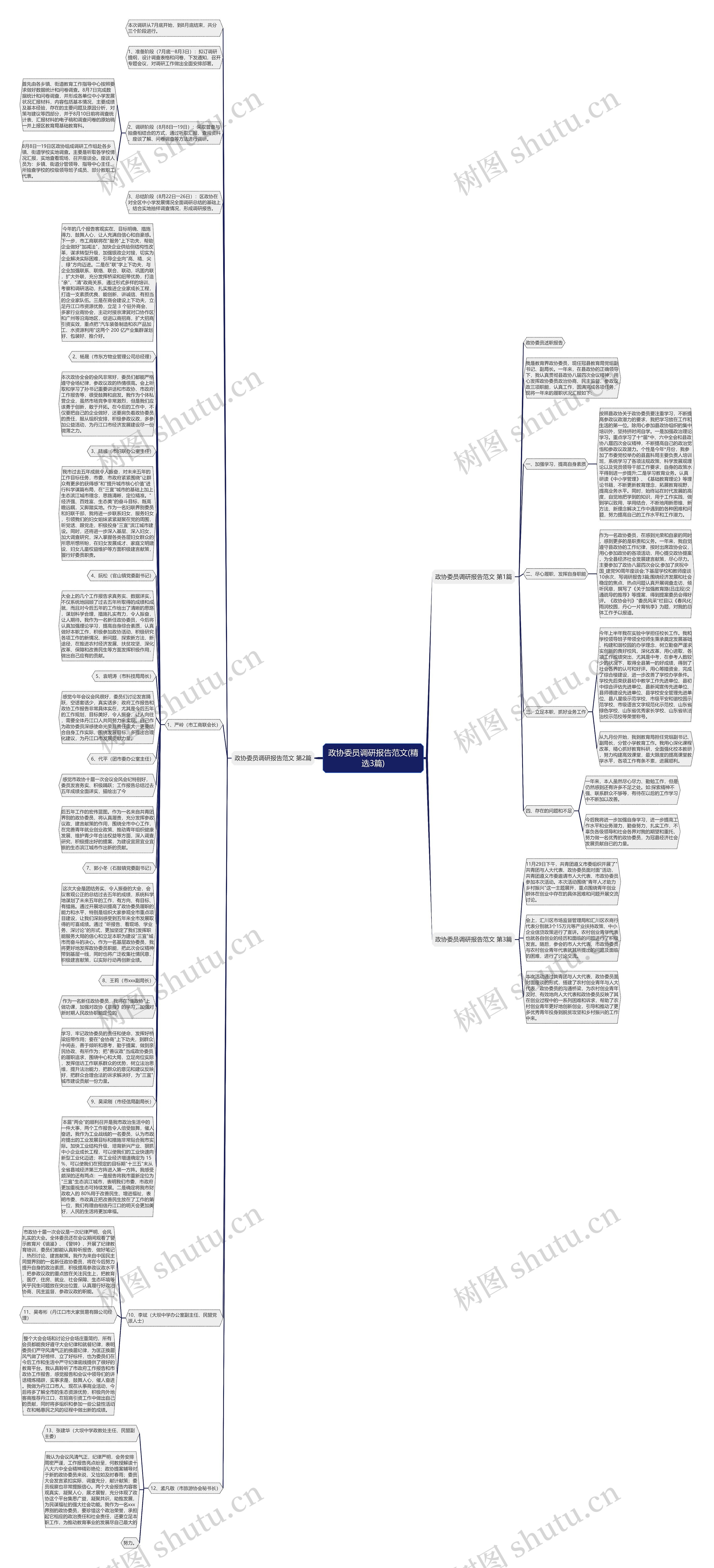 政协委员调研报告范文(精选3篇)思维导图