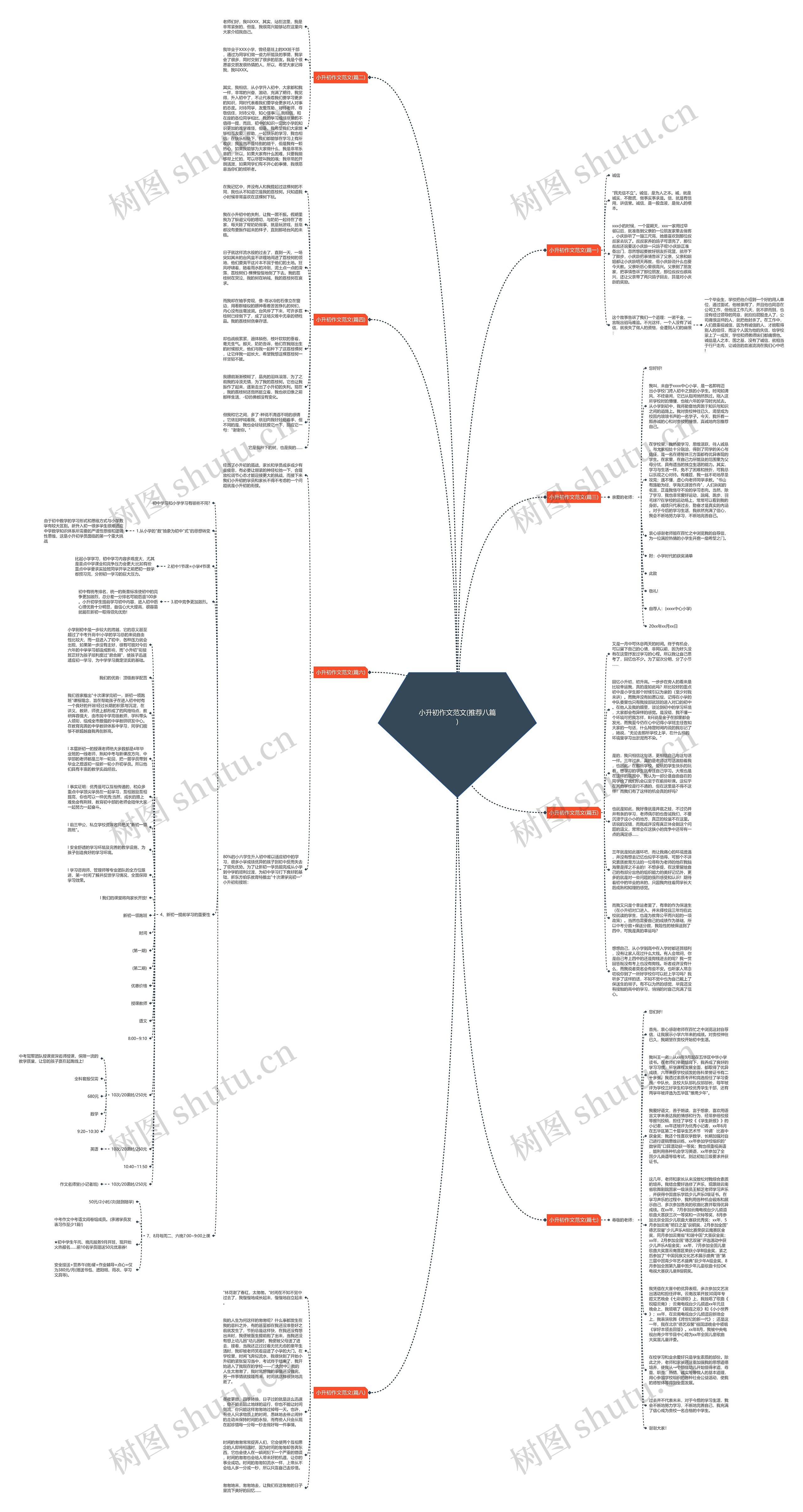 小升初作文范文(推荐八篇)思维导图