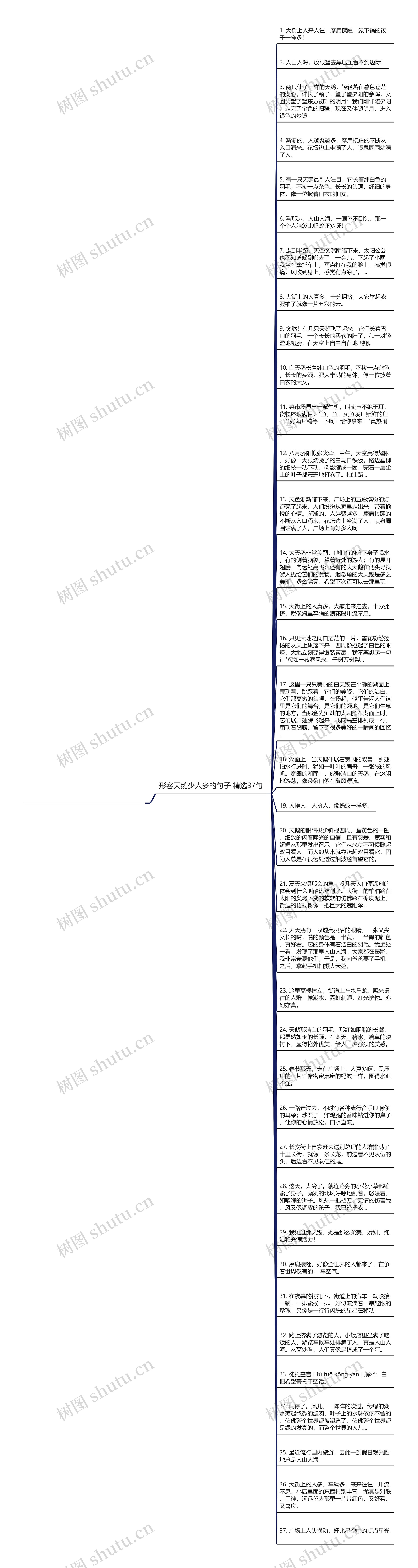 形容天鹅少人多的句子精选37句思维导图