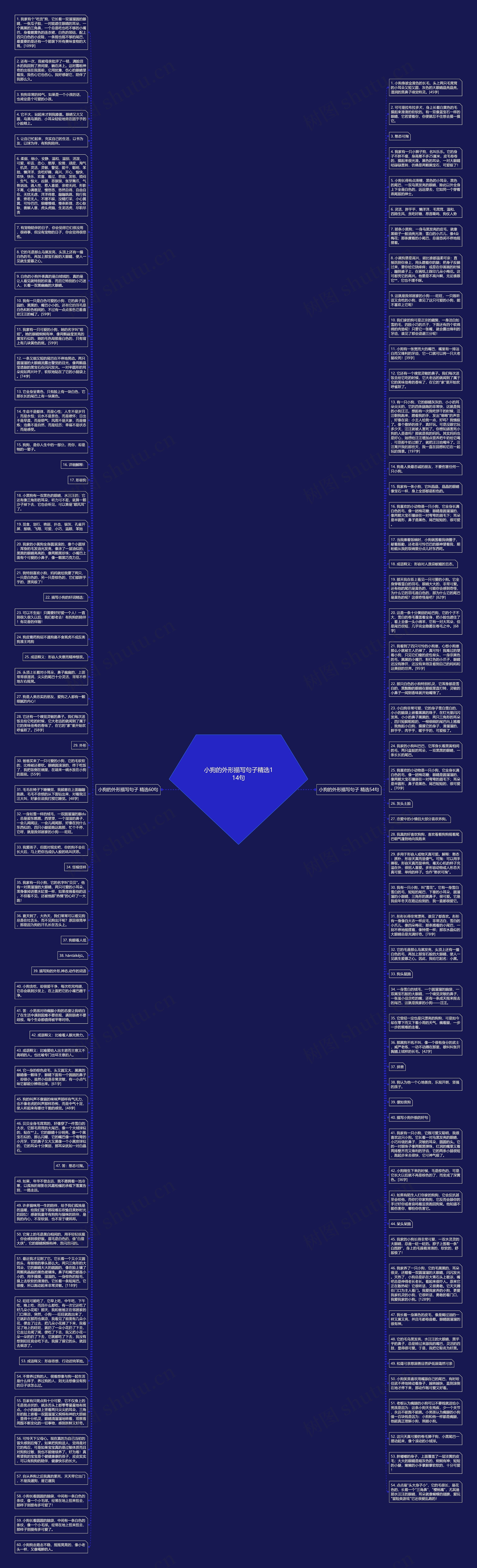 小狗的外形描写句子精选114句思维导图