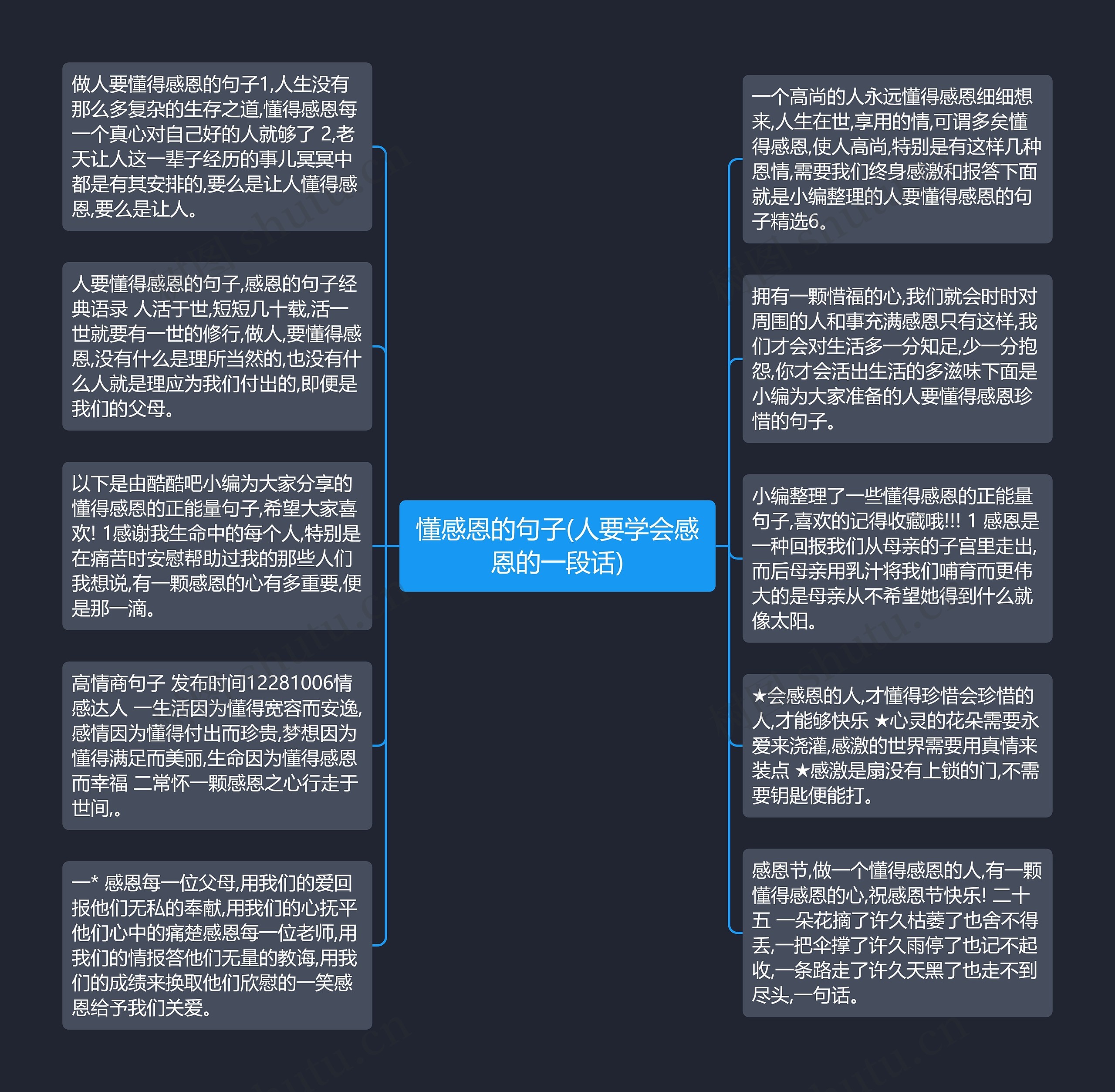 懂感恩的句子(人要学会感恩的一段话)