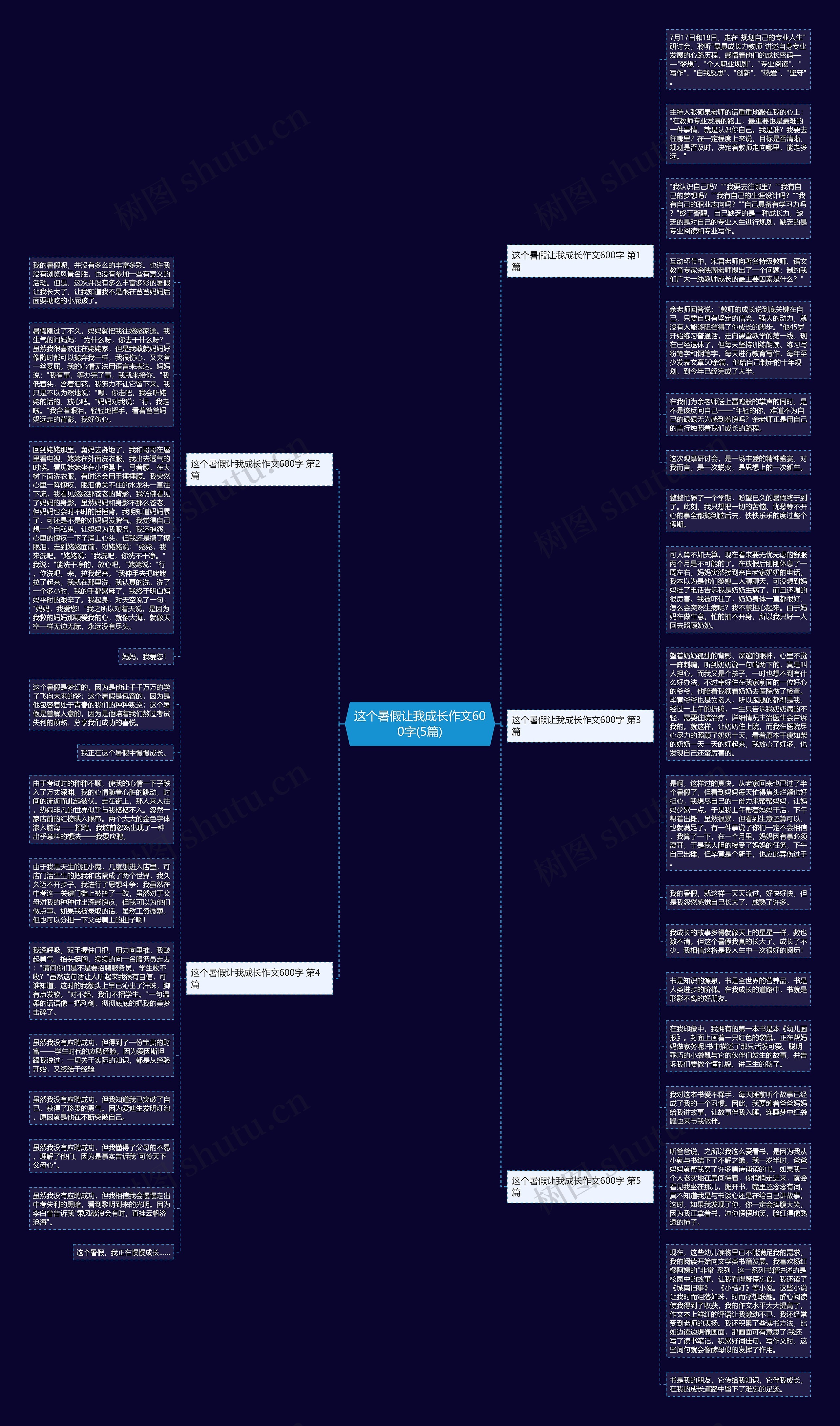 这个暑假让我成长作文600字(5篇)思维导图