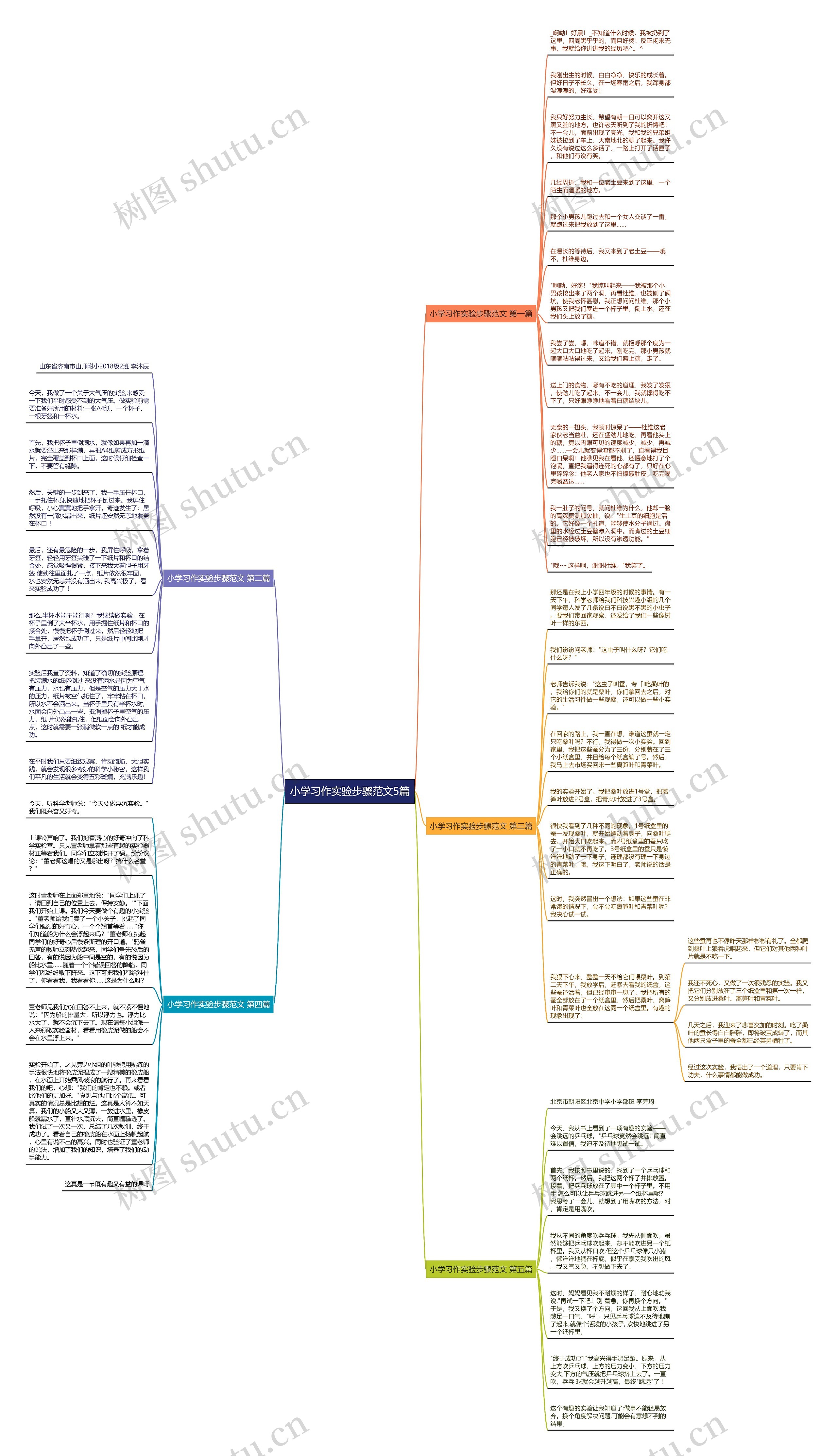小学习作实验步骤范文5篇