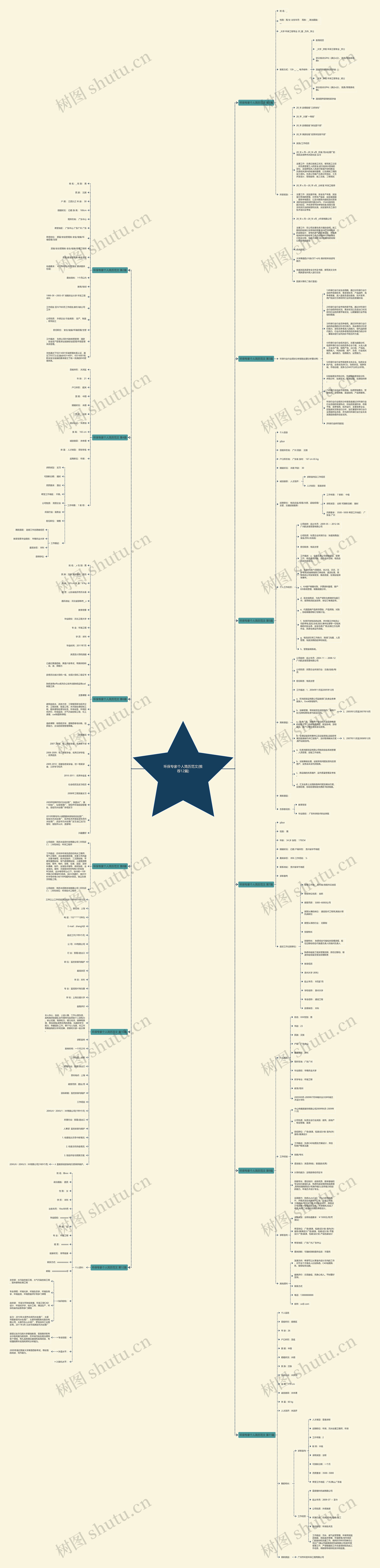 环保专家个人简历范文(推荐12篇)思维导图