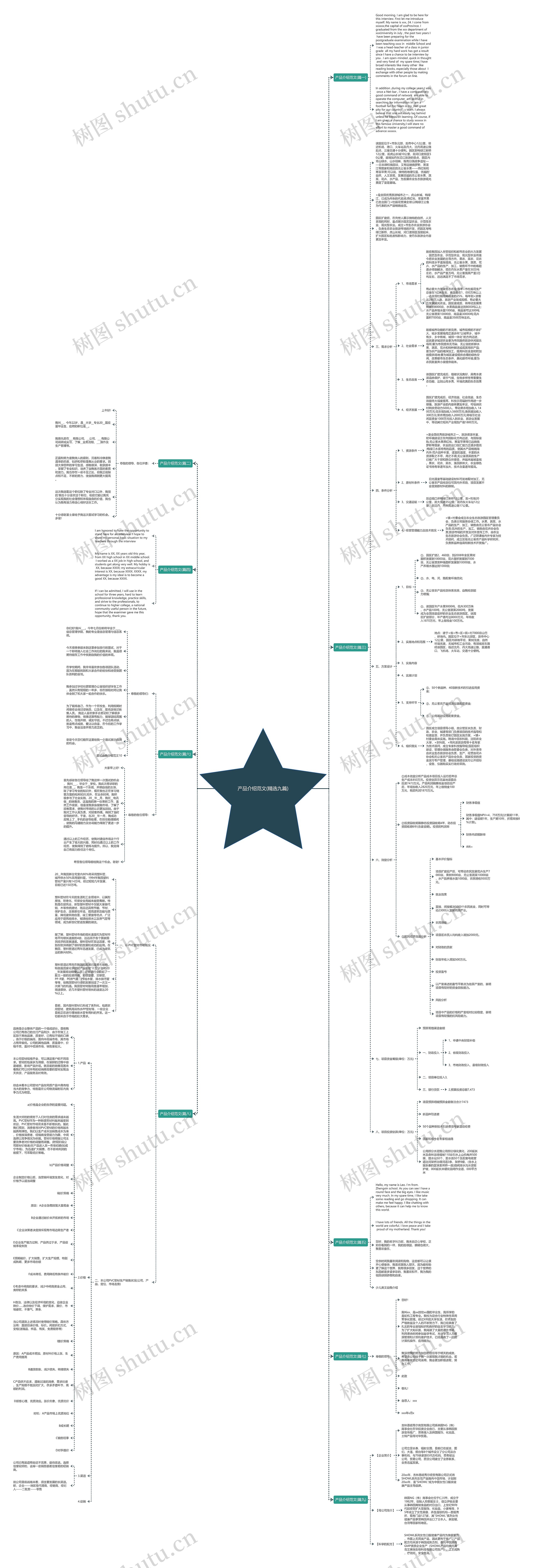 产品介绍范文(精选九篇)思维导图