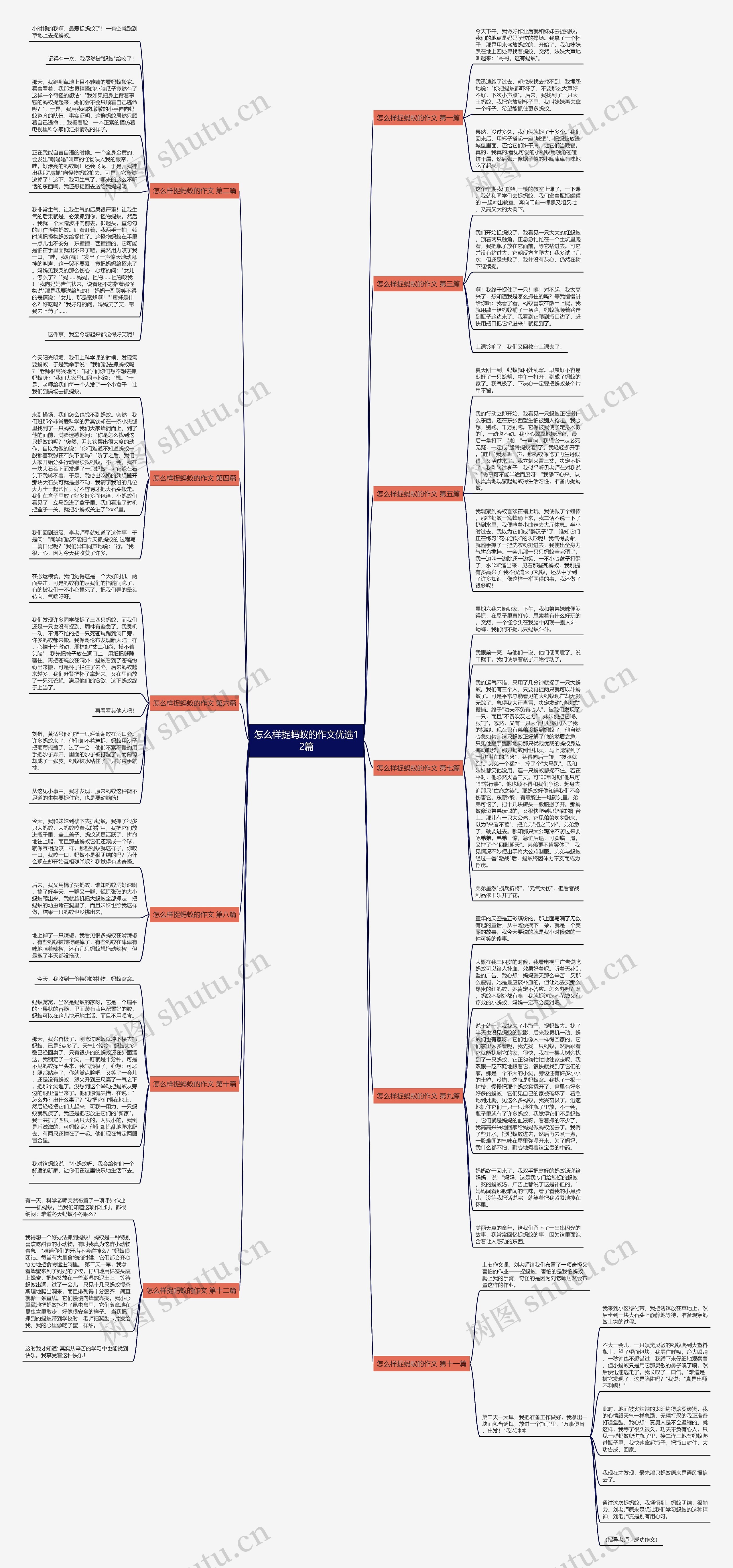 怎么样捉蚂蚁的作文优选12篇思维导图
