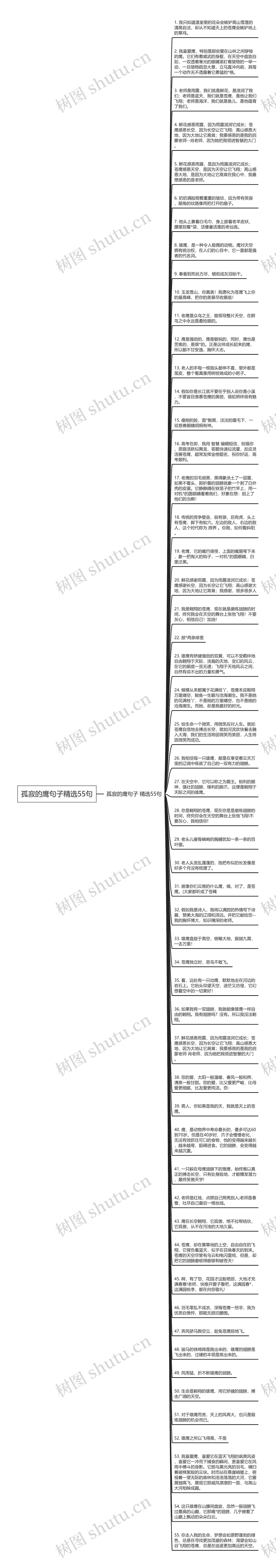 孤寂的鹰句子精选55句思维导图