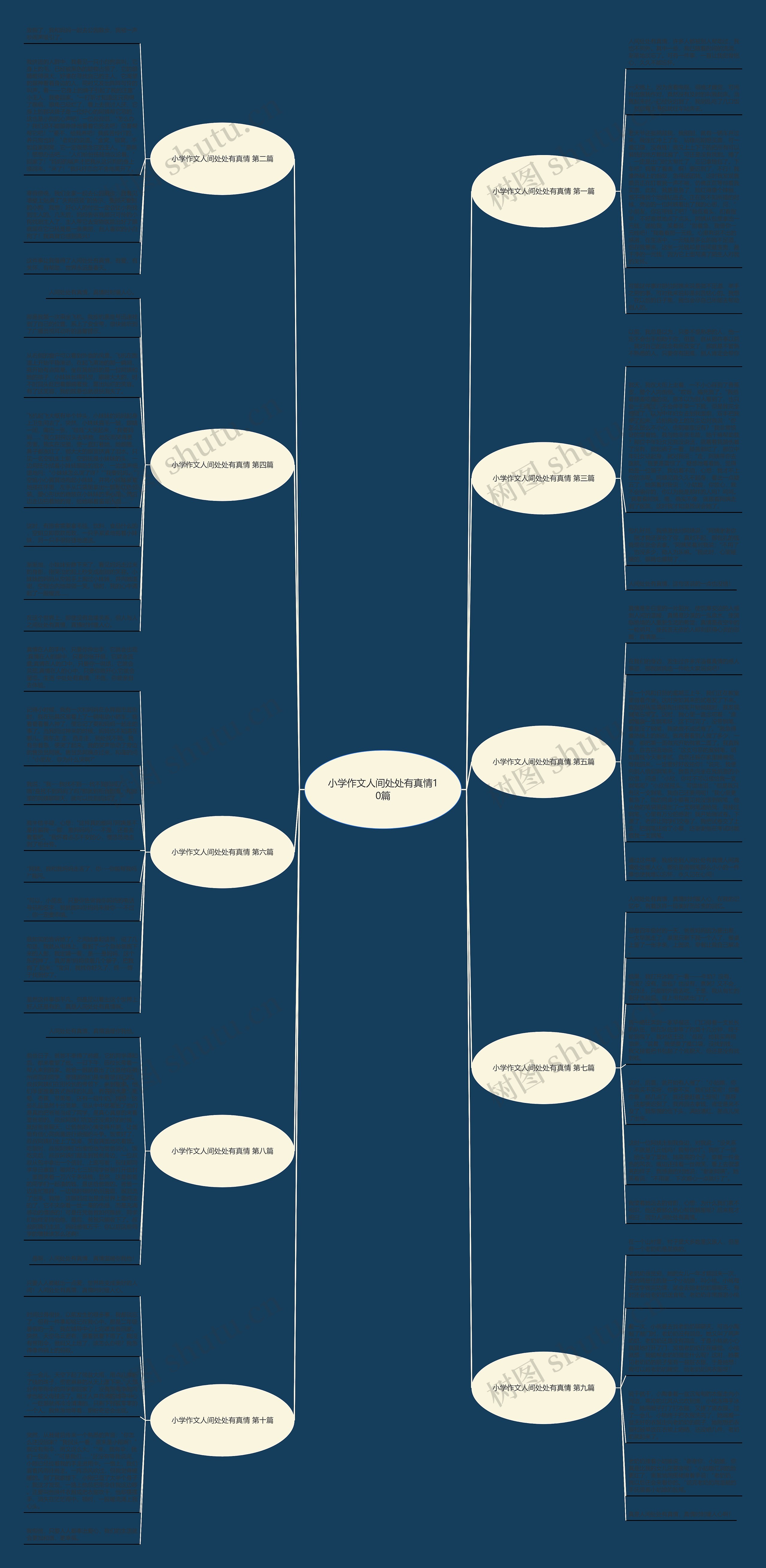 小学作文人间处处有真情10篇思维导图
