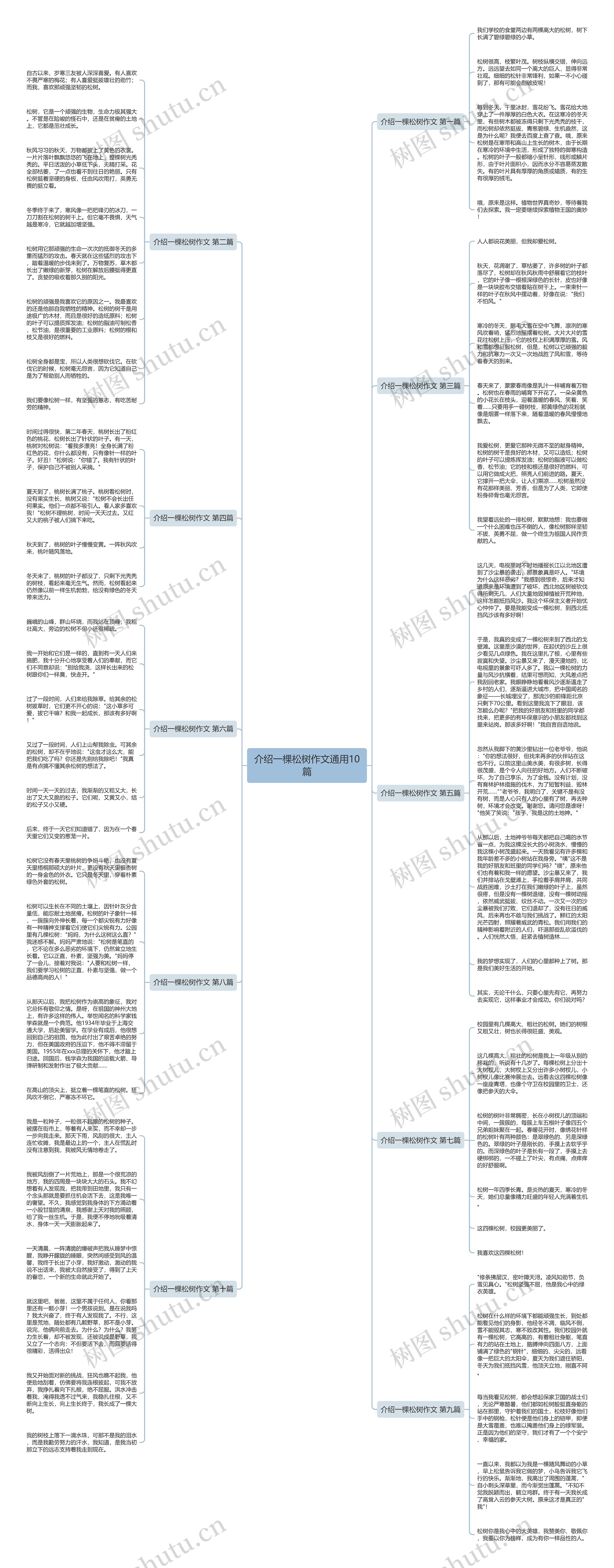 介绍一棵松树作文通用10篇思维导图