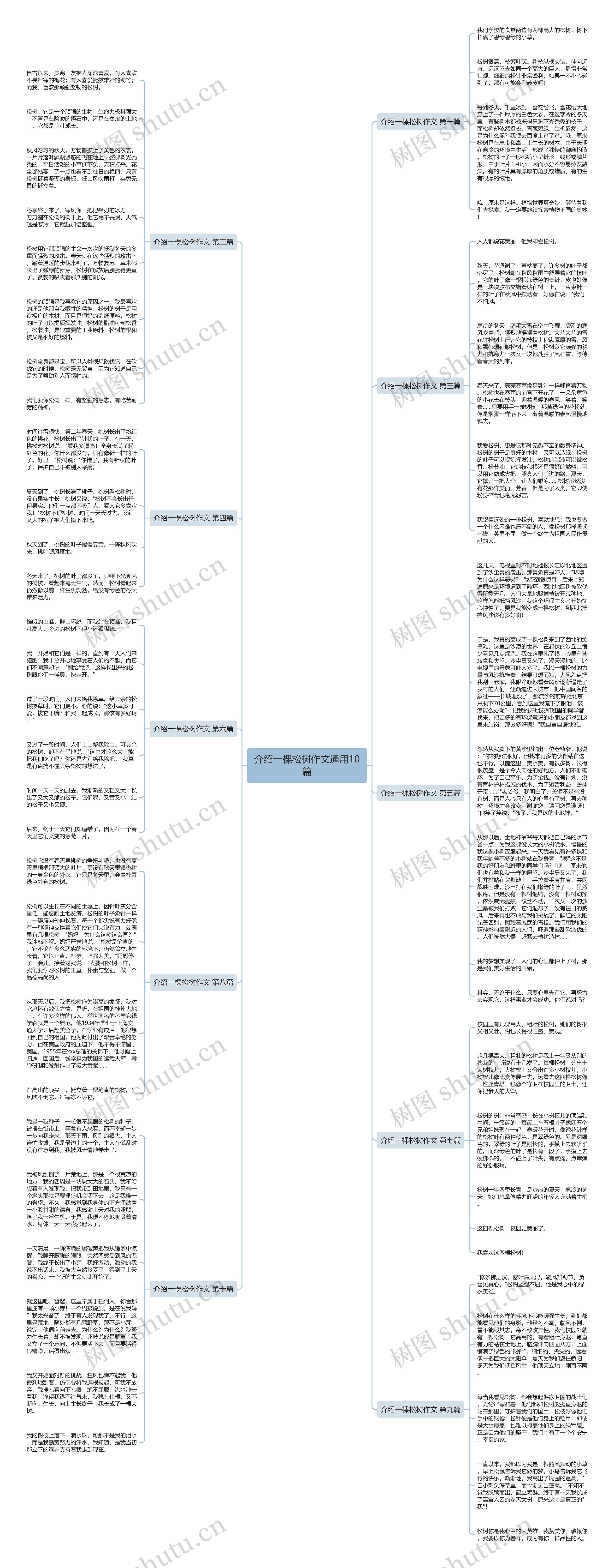 介绍一棵松树作文通用10篇思维导图高清图 介绍一棵松树作文通用10篇思维导图