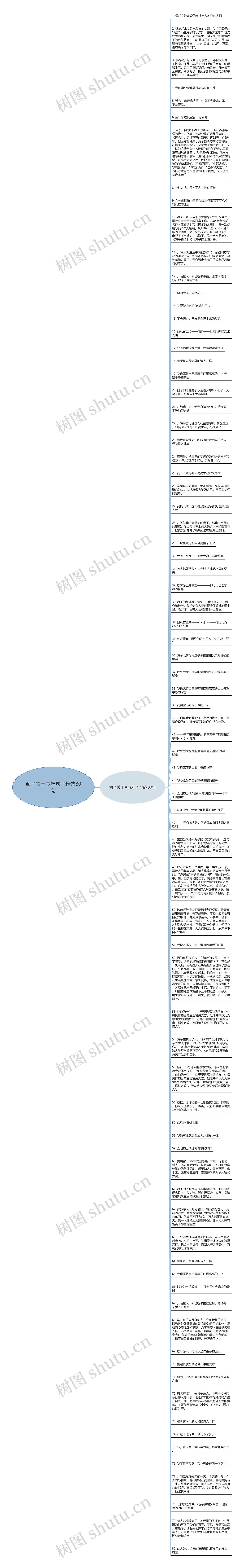 海子关于梦想句子精选80句思维导图